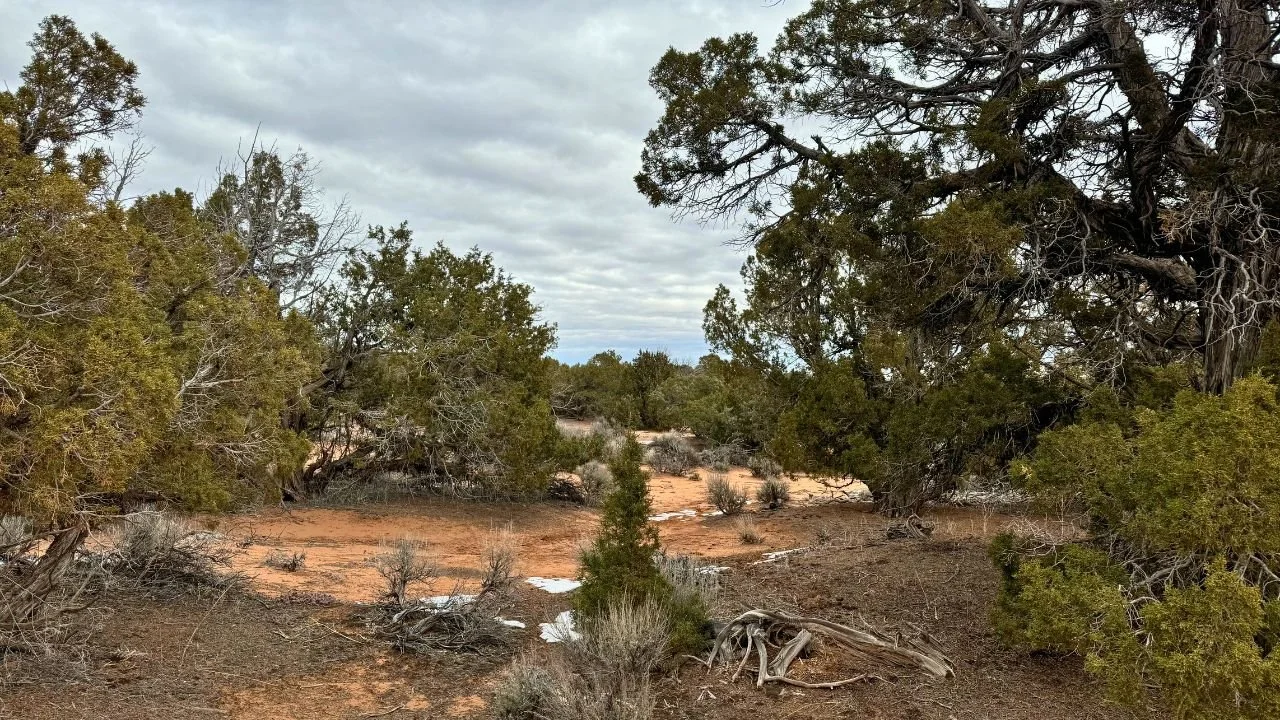 Sundance West D-33 (9).jpg