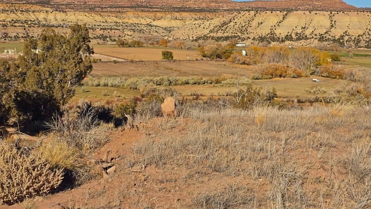 CMT-8-1 | 10.04 Acres