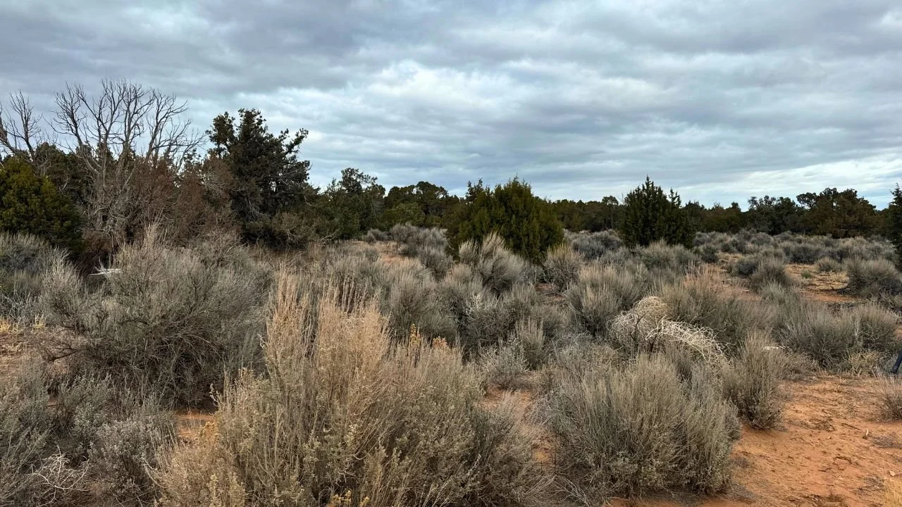 SWS-D-33 | 6.3 Acres | Sundance West