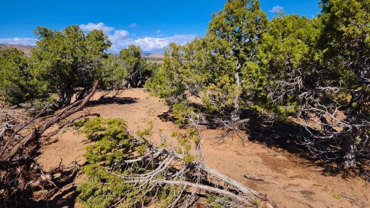 Buck Horn Mesa 4-I