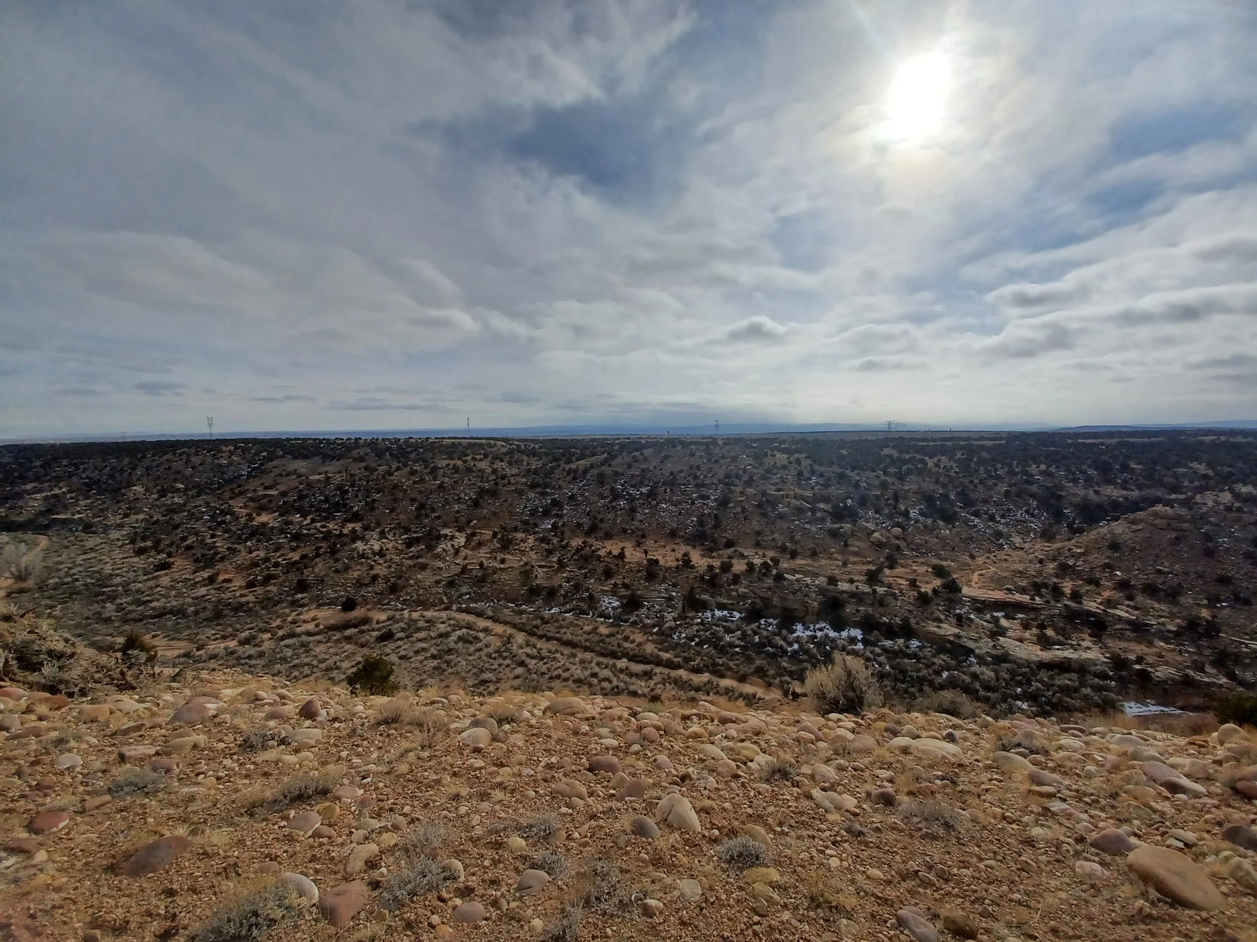20220222_150001.jpg
