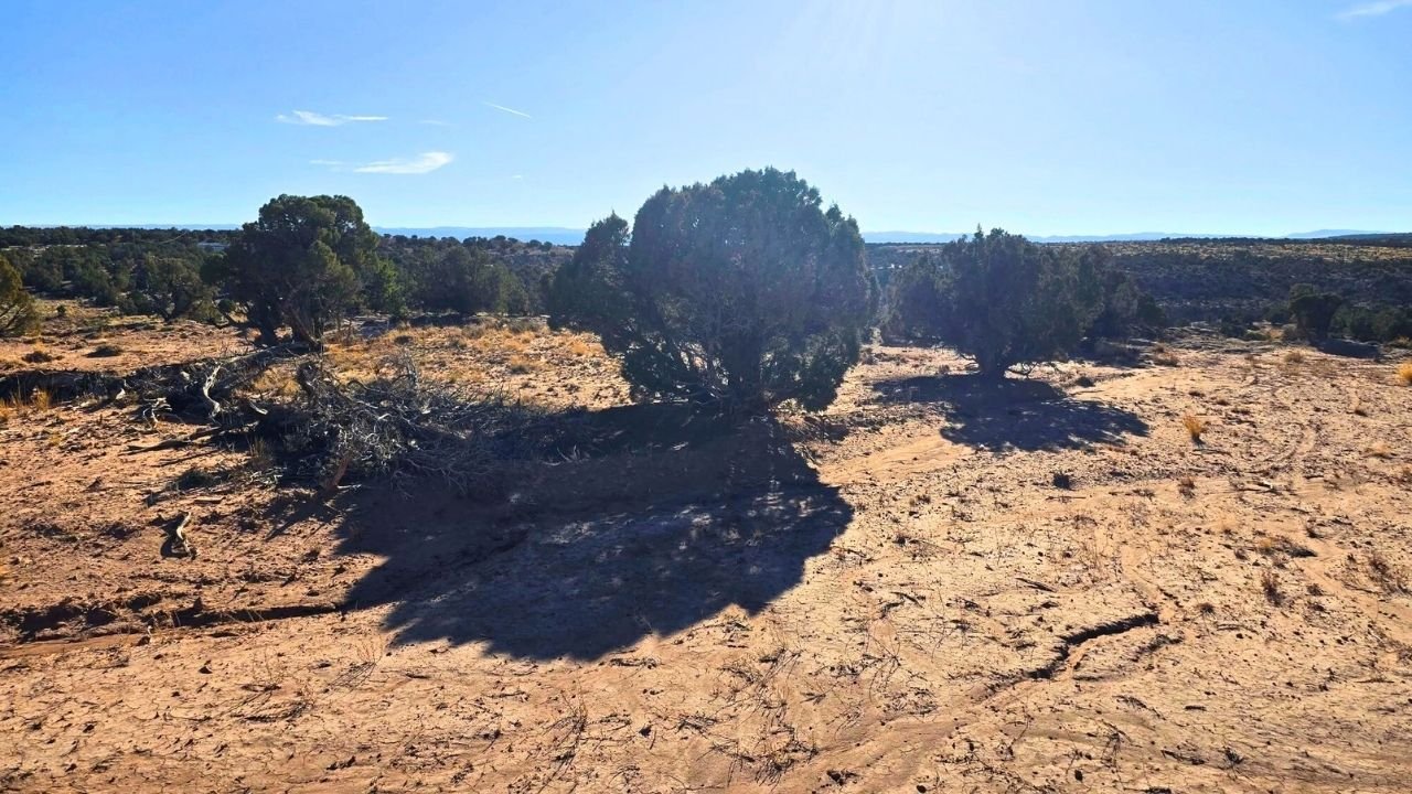 CMT-8-1 | 10.04 Acres