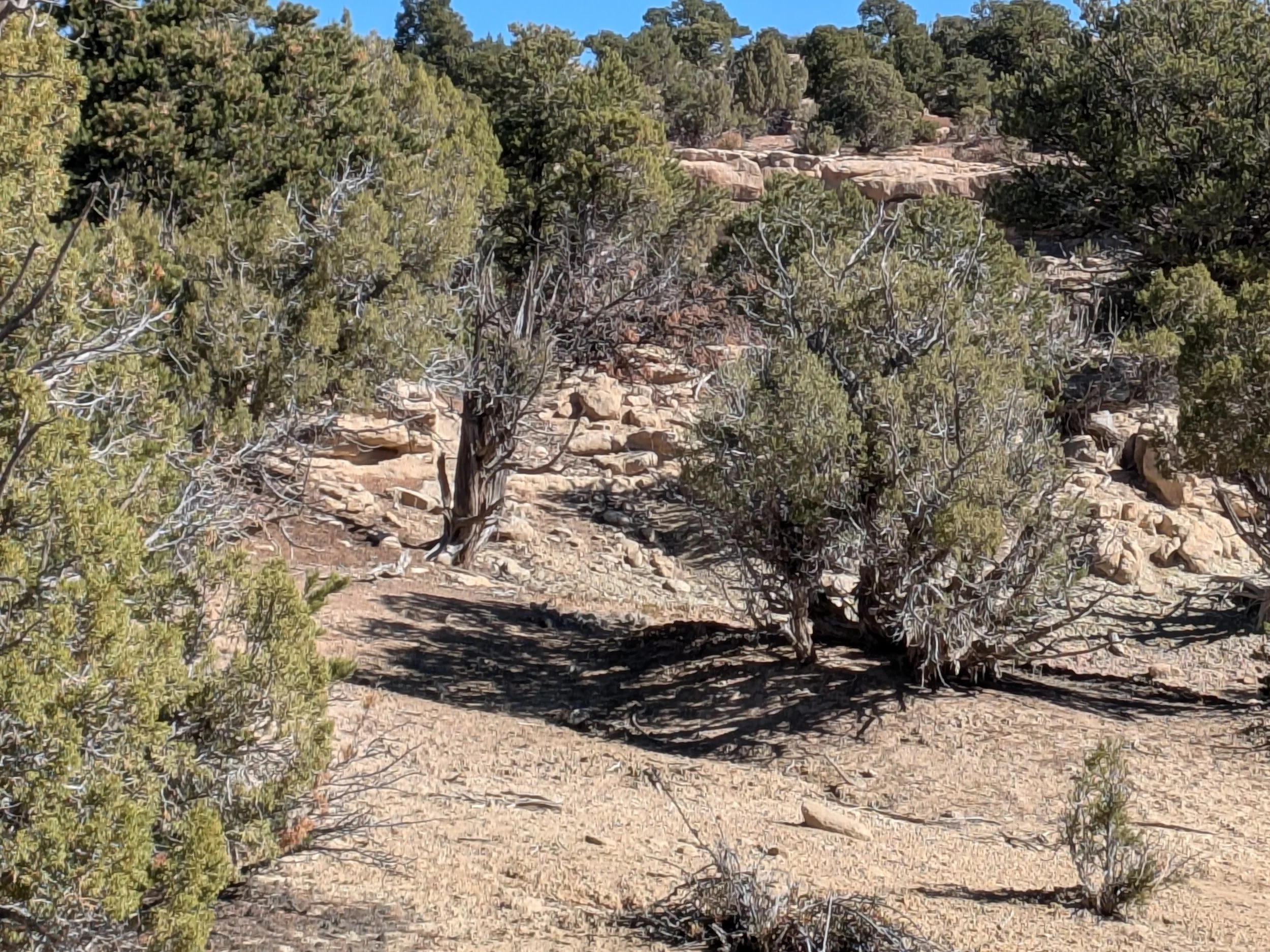 PXL_20250929_170204906.jpg