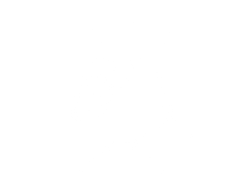 Illustration of two hands clasped in a handshake with lines indicating connection or excitement.