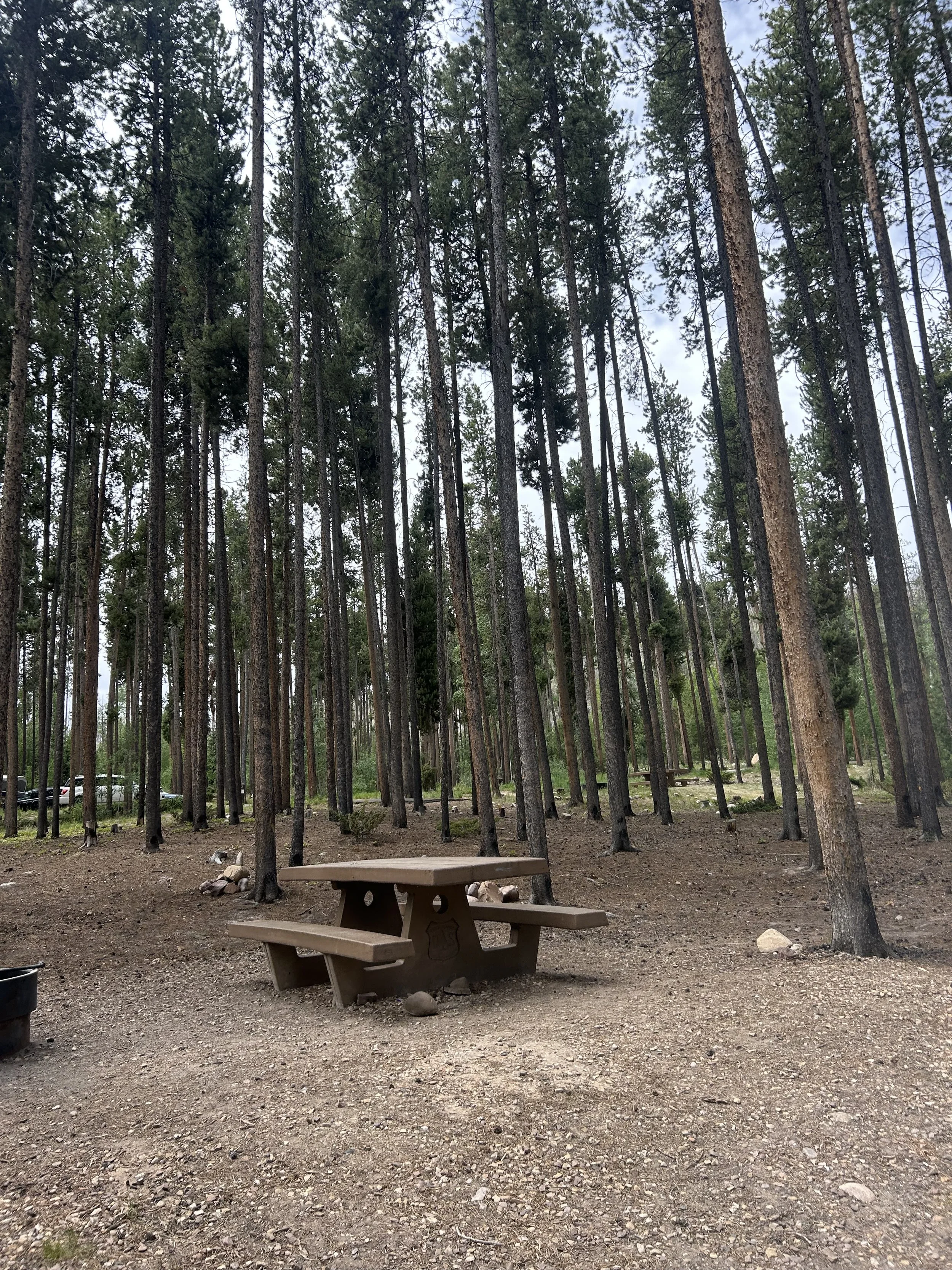 moon lake camping chair.jpeg