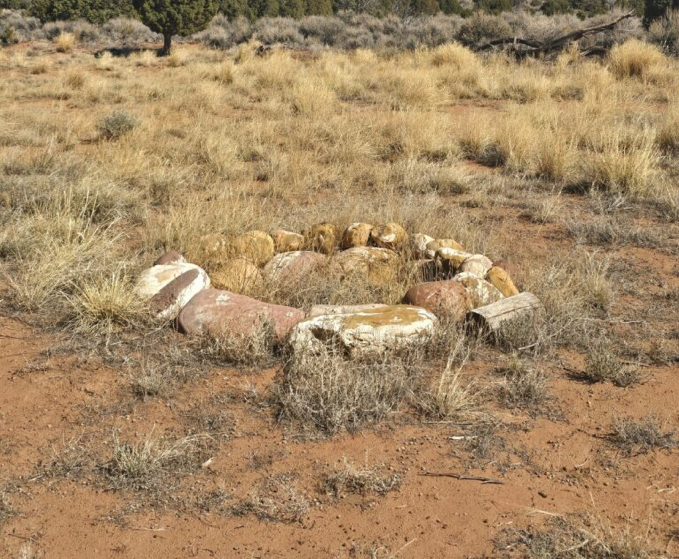 Screenshot 2026-01-13 at 11.04.01 AM.png