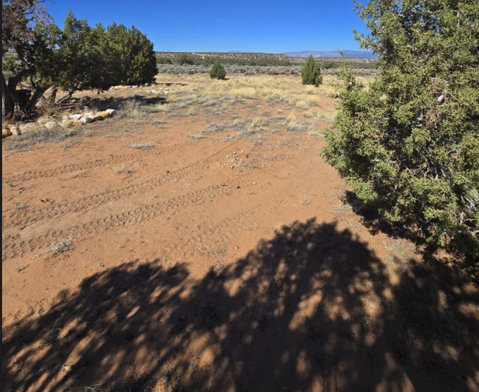 Screenshot 2026-01-13 at 11.03.49 AM.png