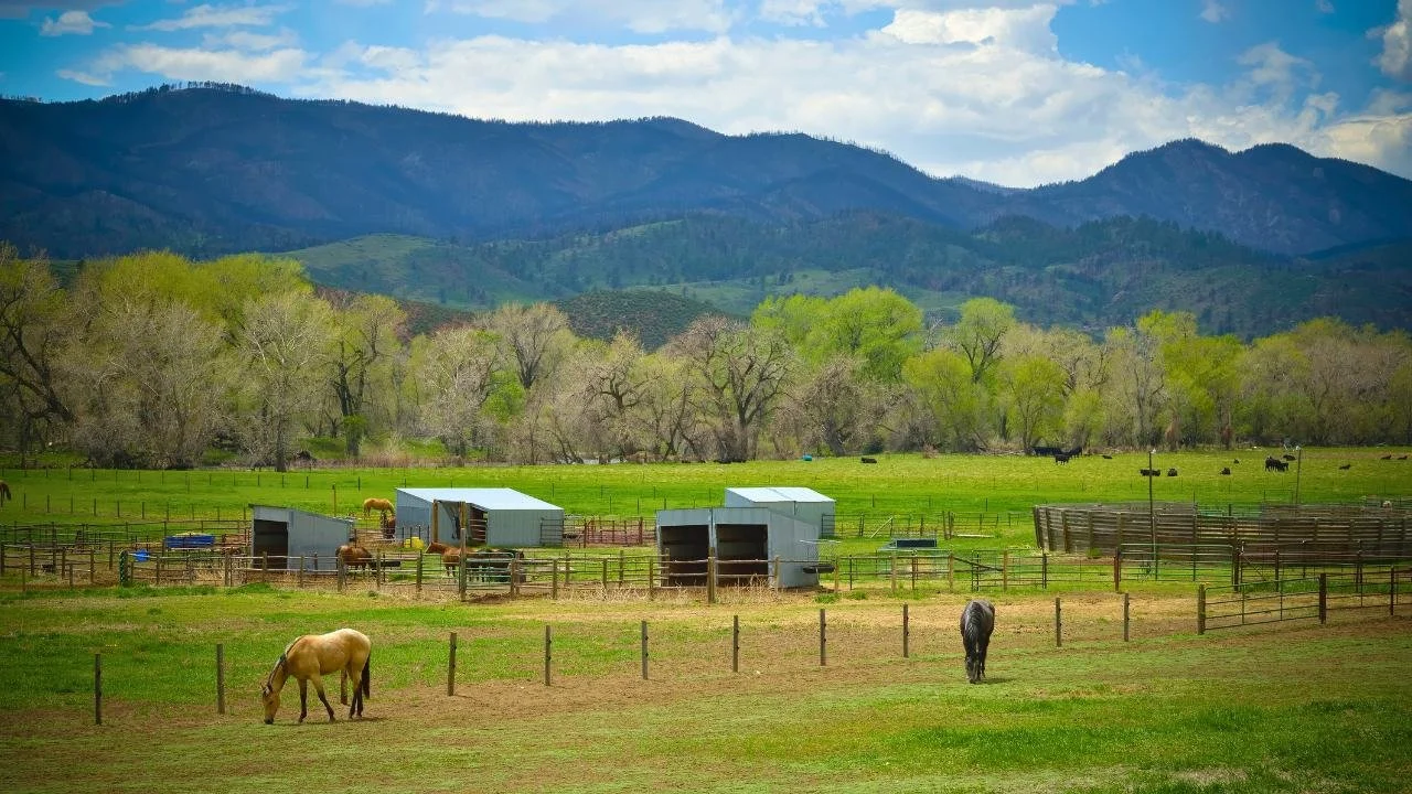 Expansive private ranch setting.jpg