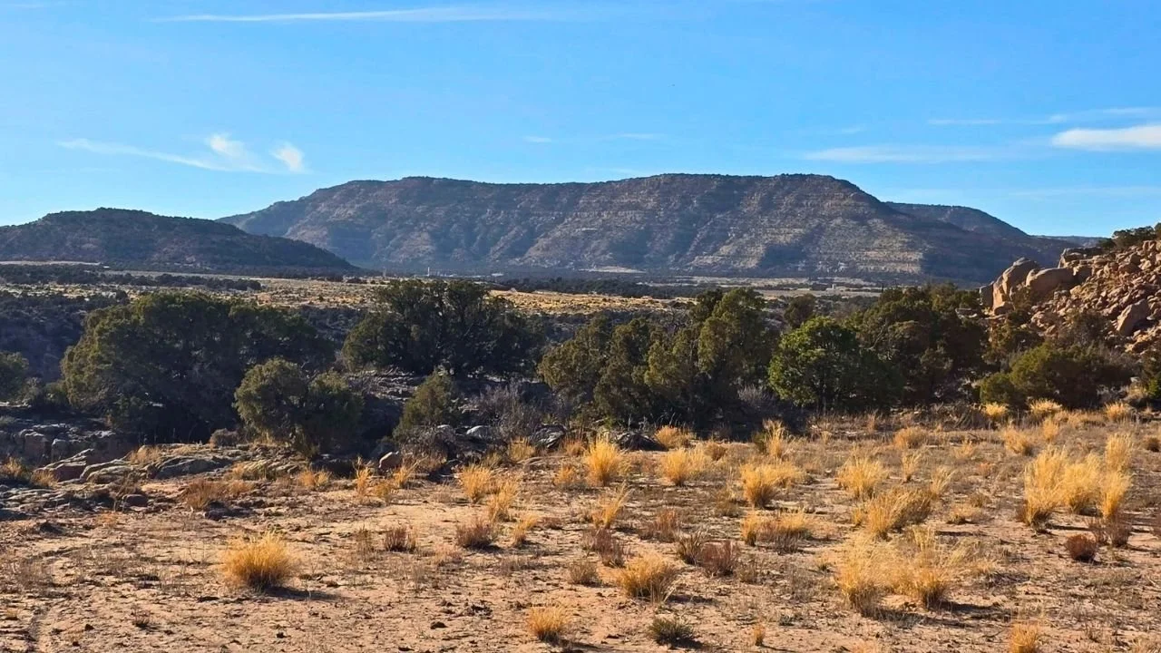 CMT-8-1 | 10.04 Acres