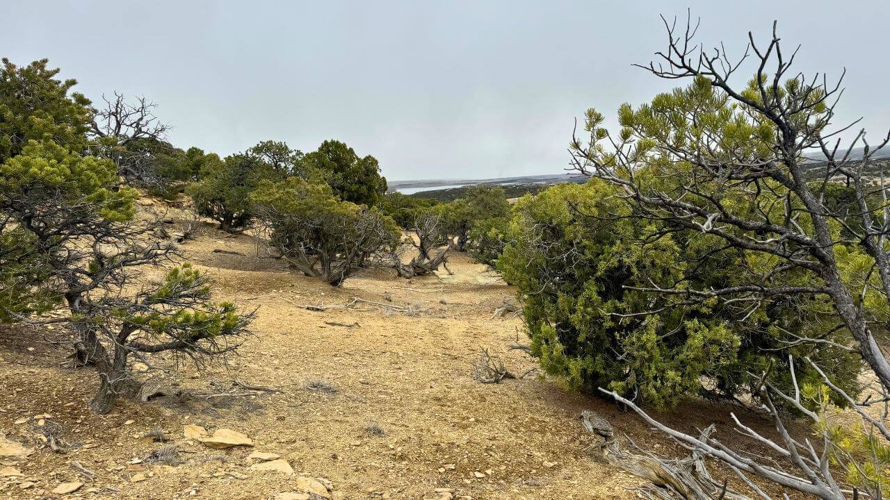 Lakewood Estates 6-3 5 Acres with Lake Views.jpg