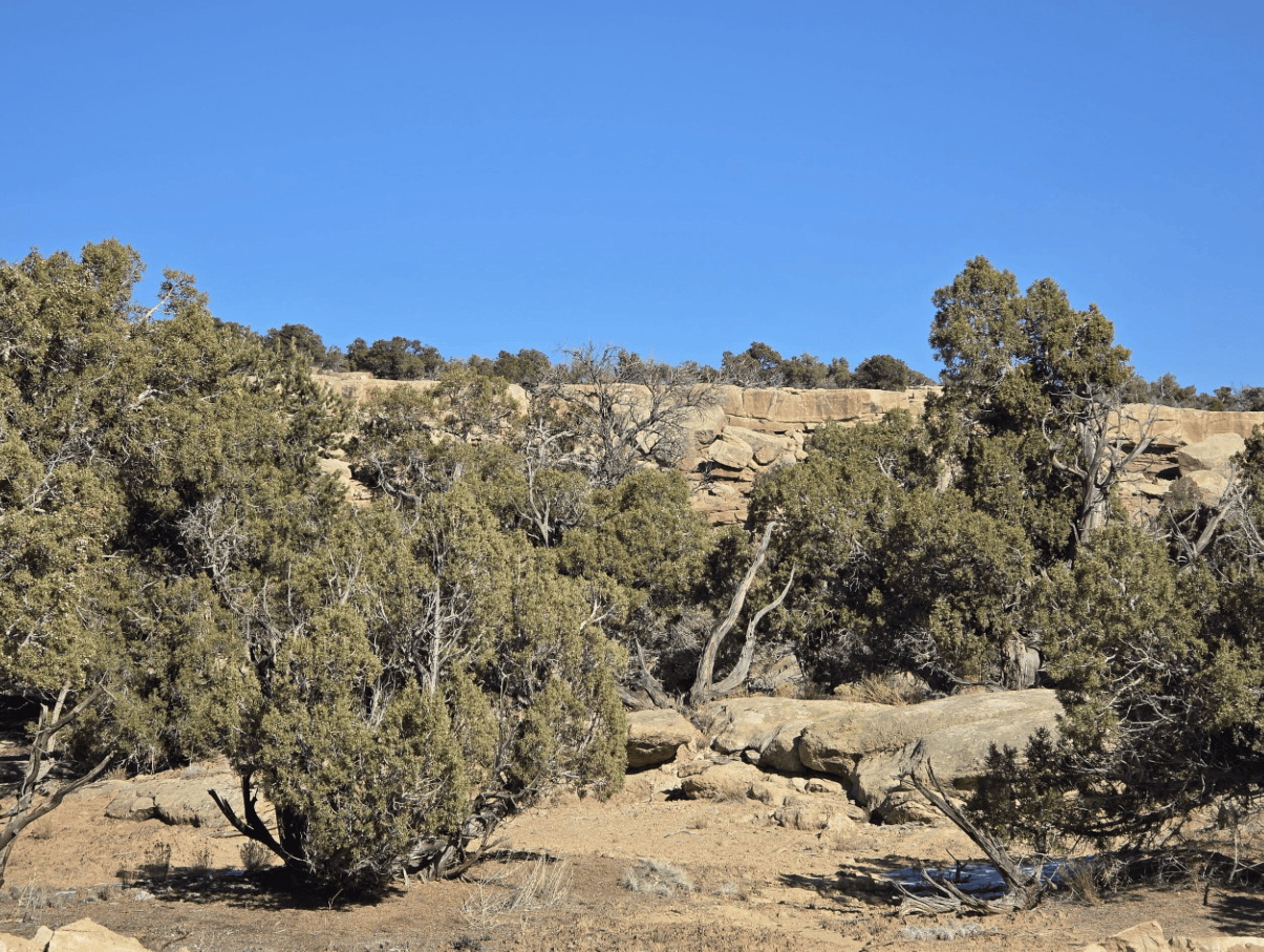 Canyonview Lot 2