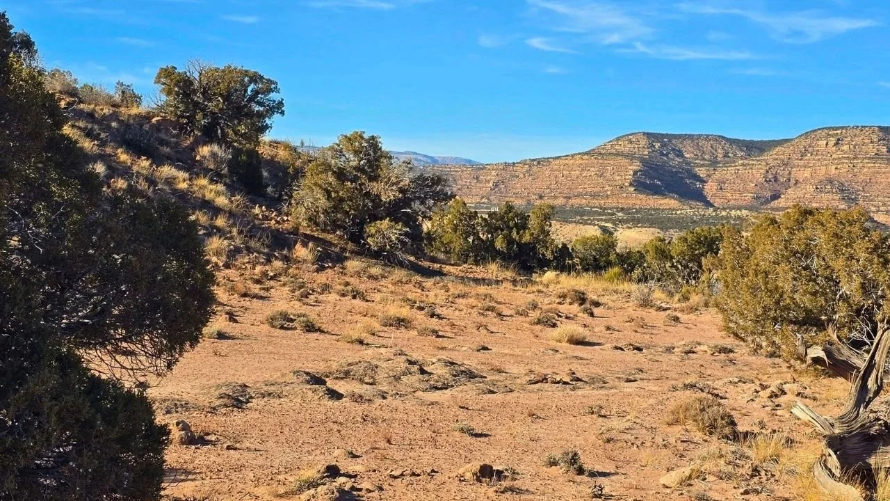 CMT-8-1 | 10.04 Acres