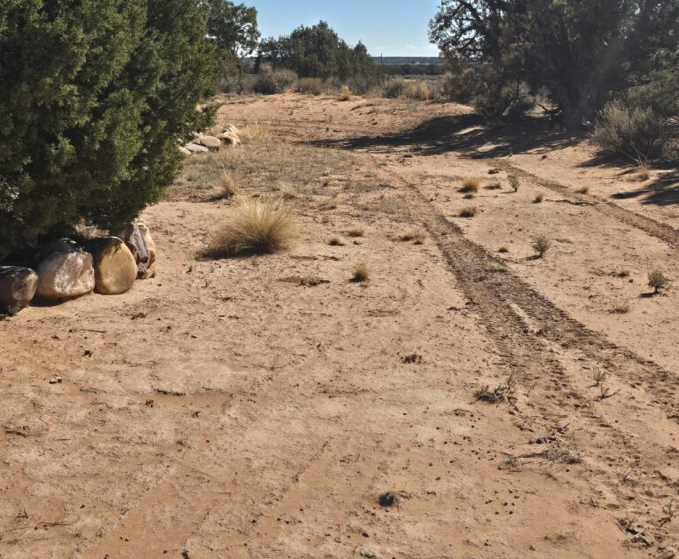 Screenshot 2026-01-13 at 11.03.58 AM.png