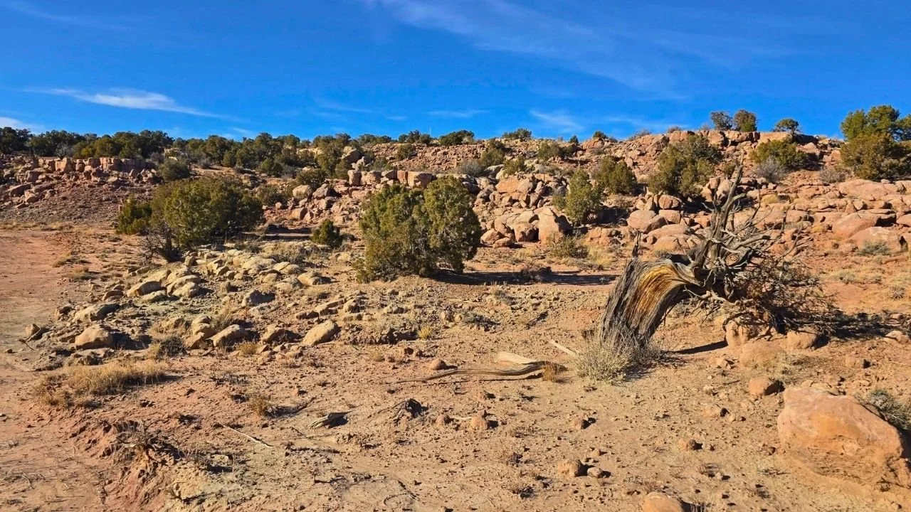 CMT-8-1 | 10.04 Acres