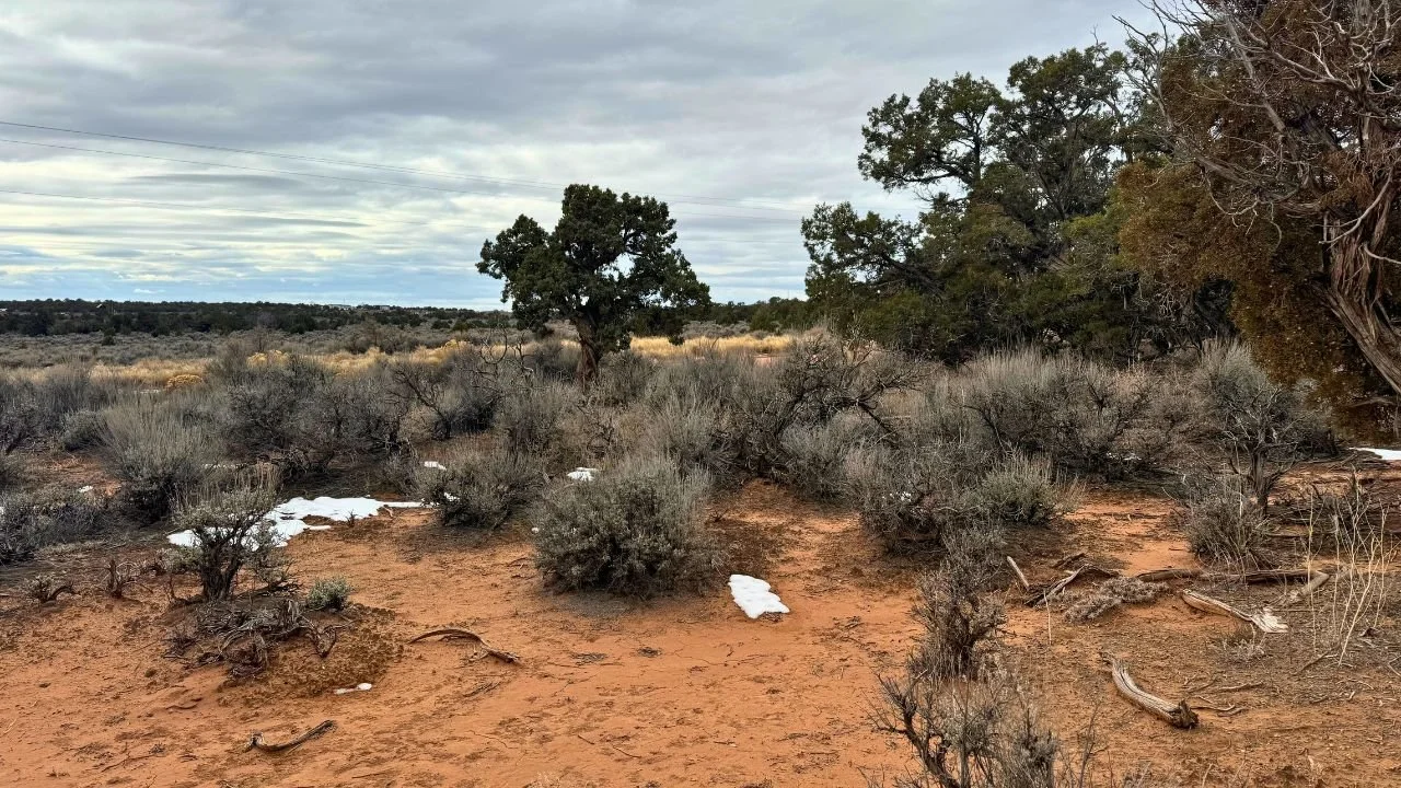 Sundance West D-33 (10).jpg