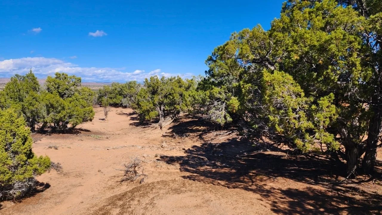 Buck Horn Mesa 4-I
