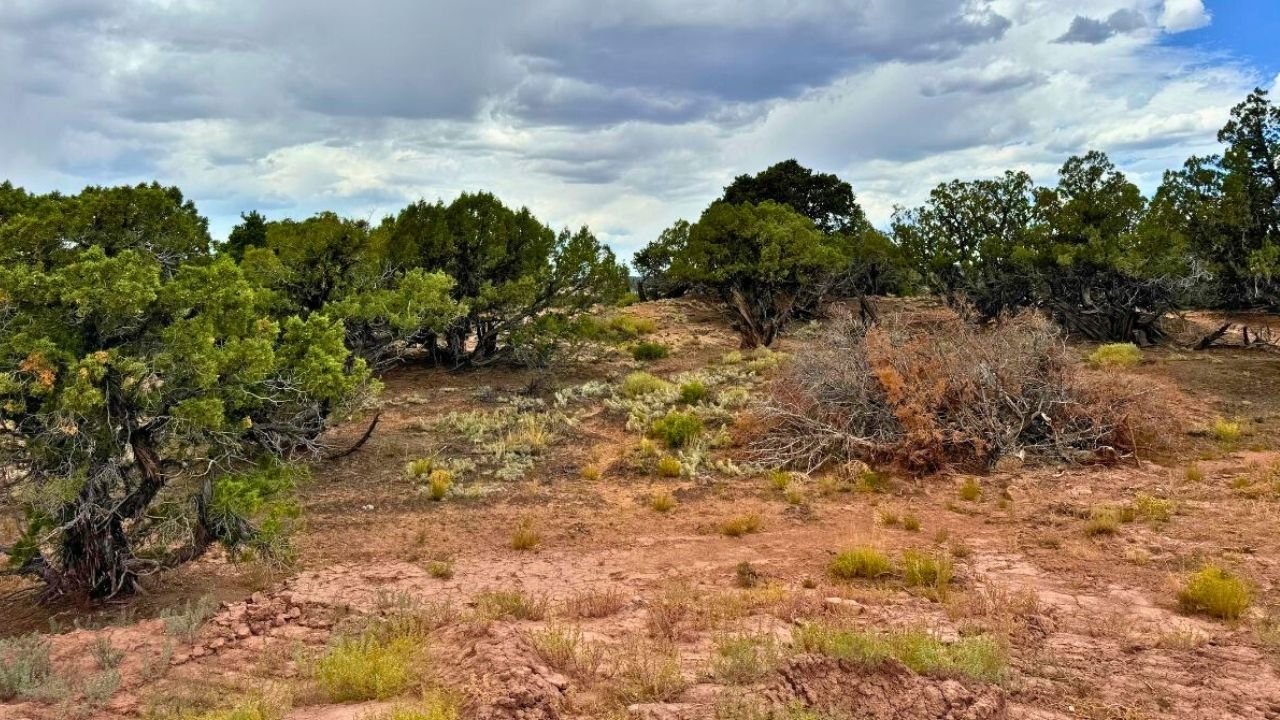 Ranches at Pinion Ridge 2-12.jpg