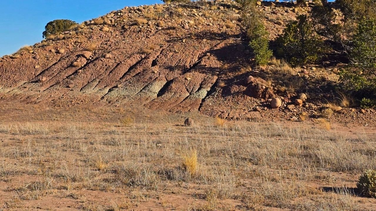 CMT-8-1 | 10.04 Acres