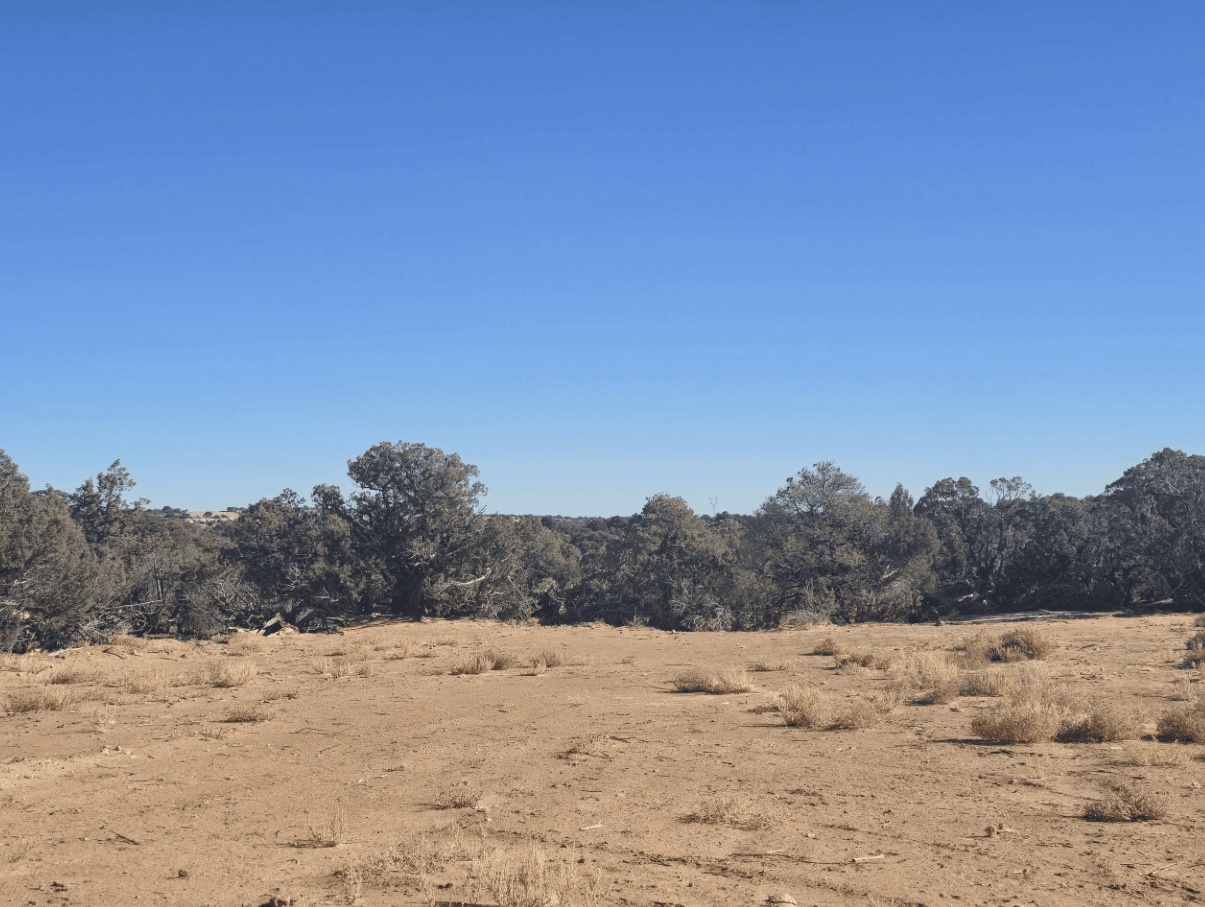 Canyonview Lot 2