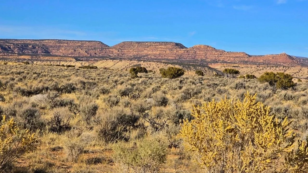 CHILLS-2-9 | 5 Acres | Conejo Hills