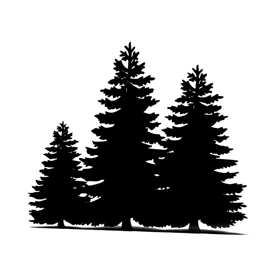 Silhouette of four pine trees against a white background.