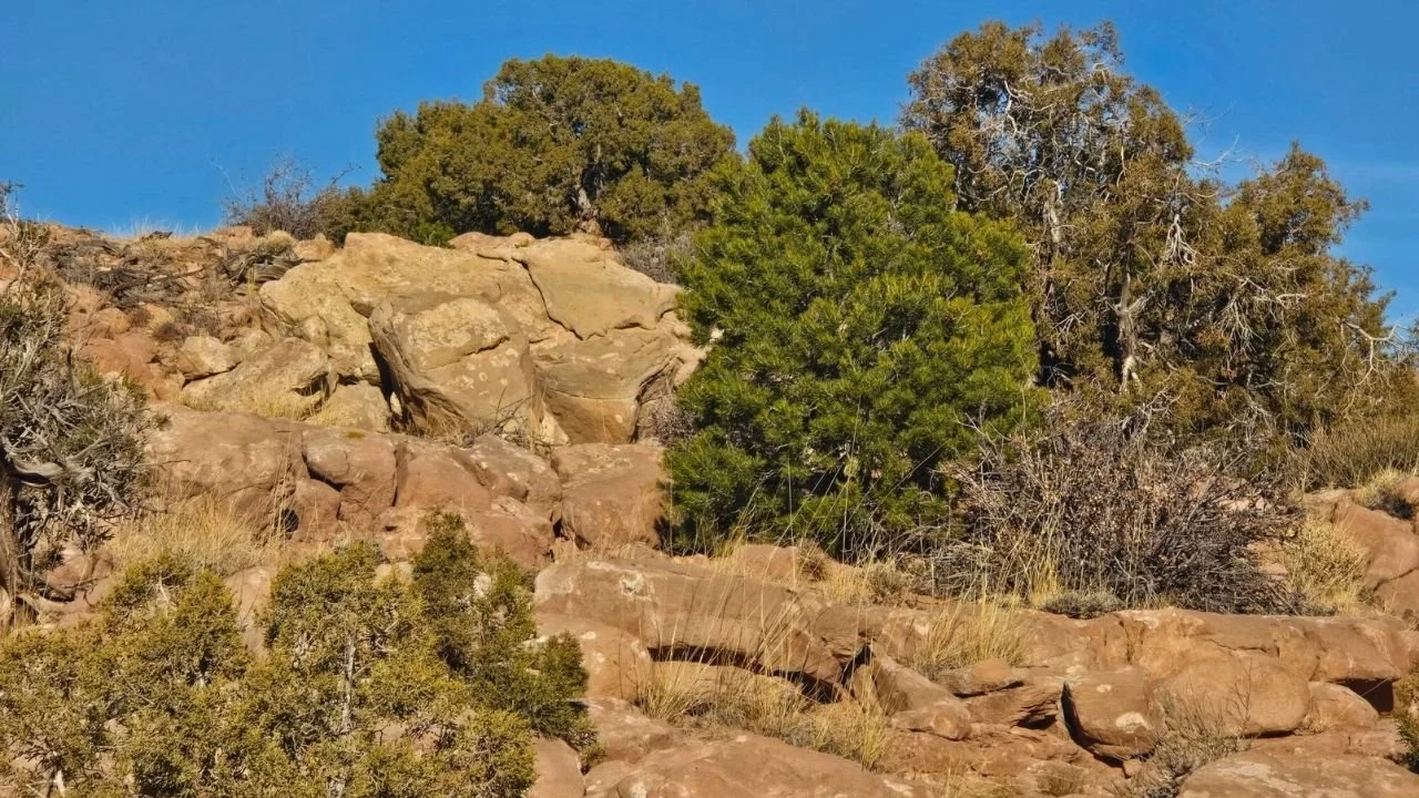 CMT-8-1 | 10.04 Acres