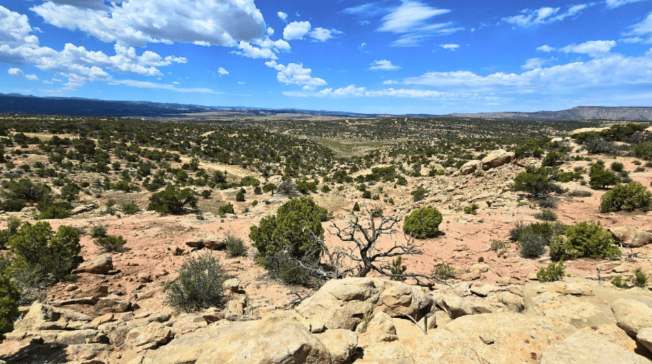 Buck Horn Mesa 16-G