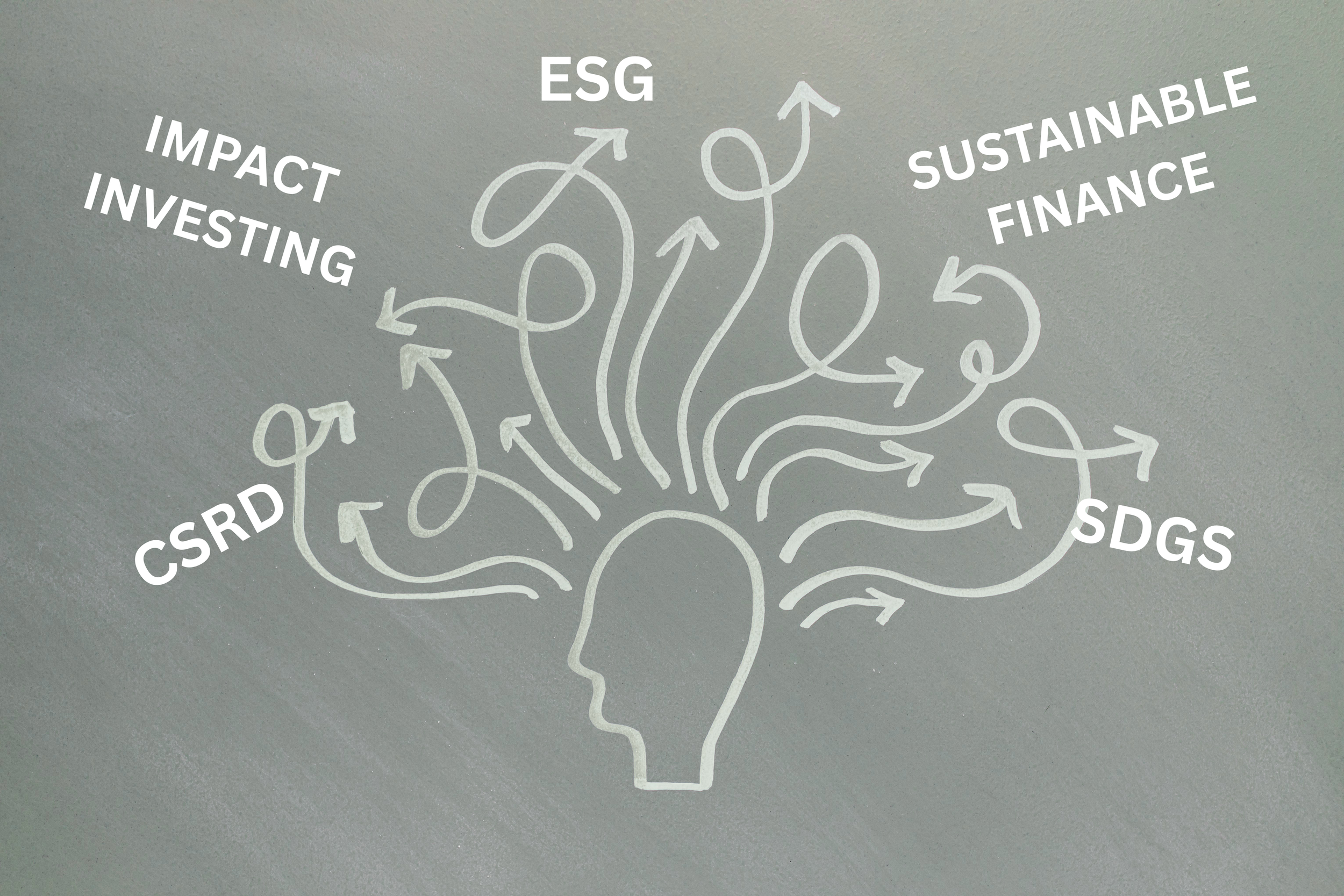 ESG, Impact Investing, and Sustainable Finance: Why Distinction Should Not Become Separation