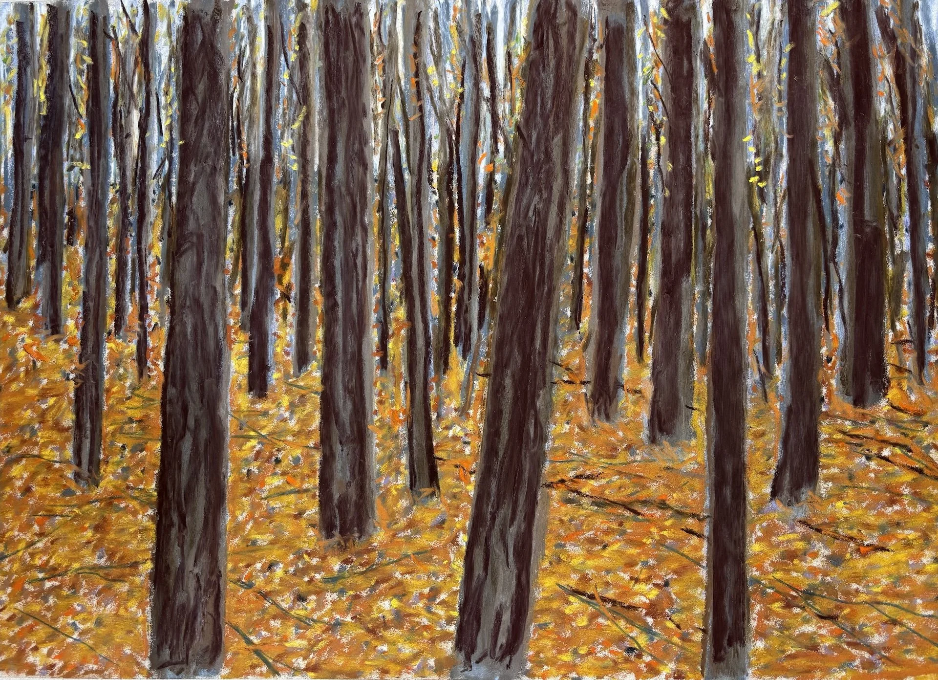 Autumn Trees I, Pastel Board, 16x20