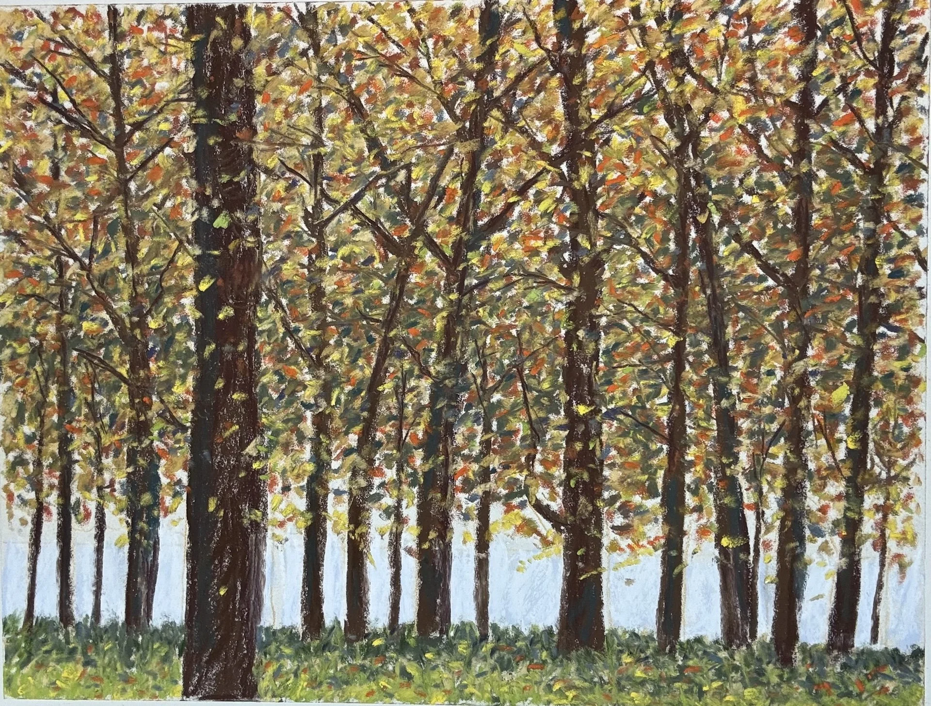Autumn Trees III, Pastel Board, 18x24