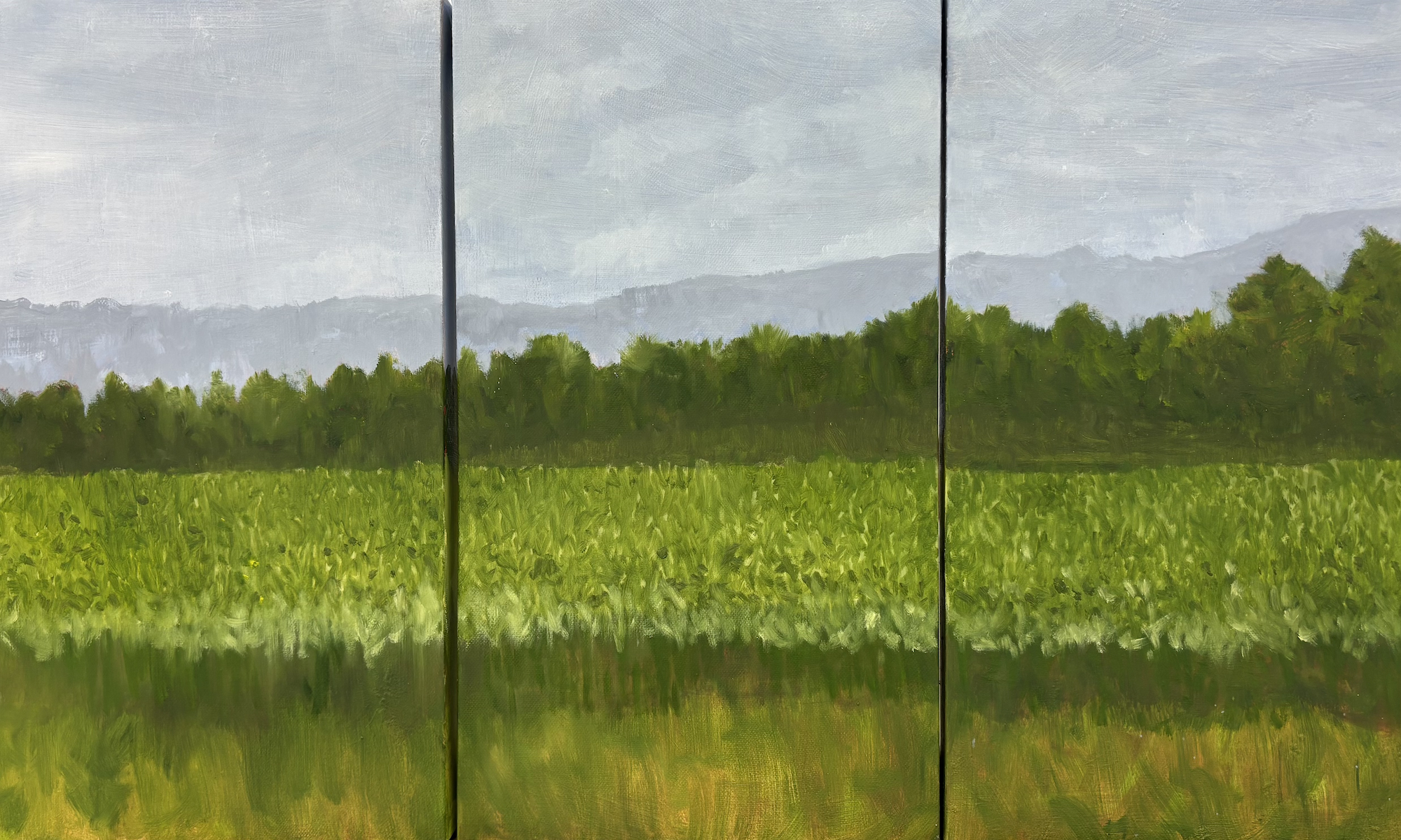 Corn Fields Triptych, Oil on Canvas, 10x18 Panels