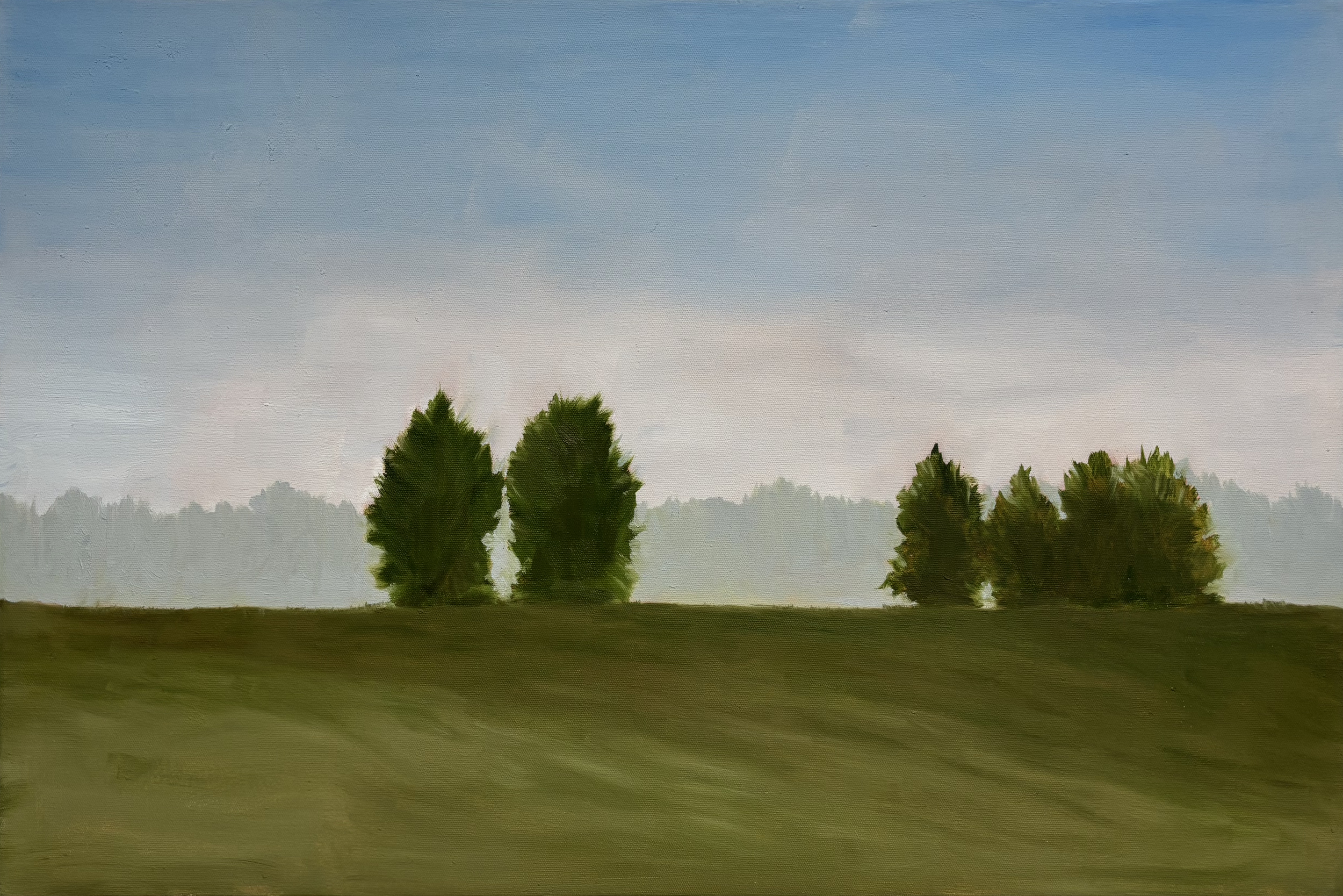 Field Landscape IV, Oil, 36x24