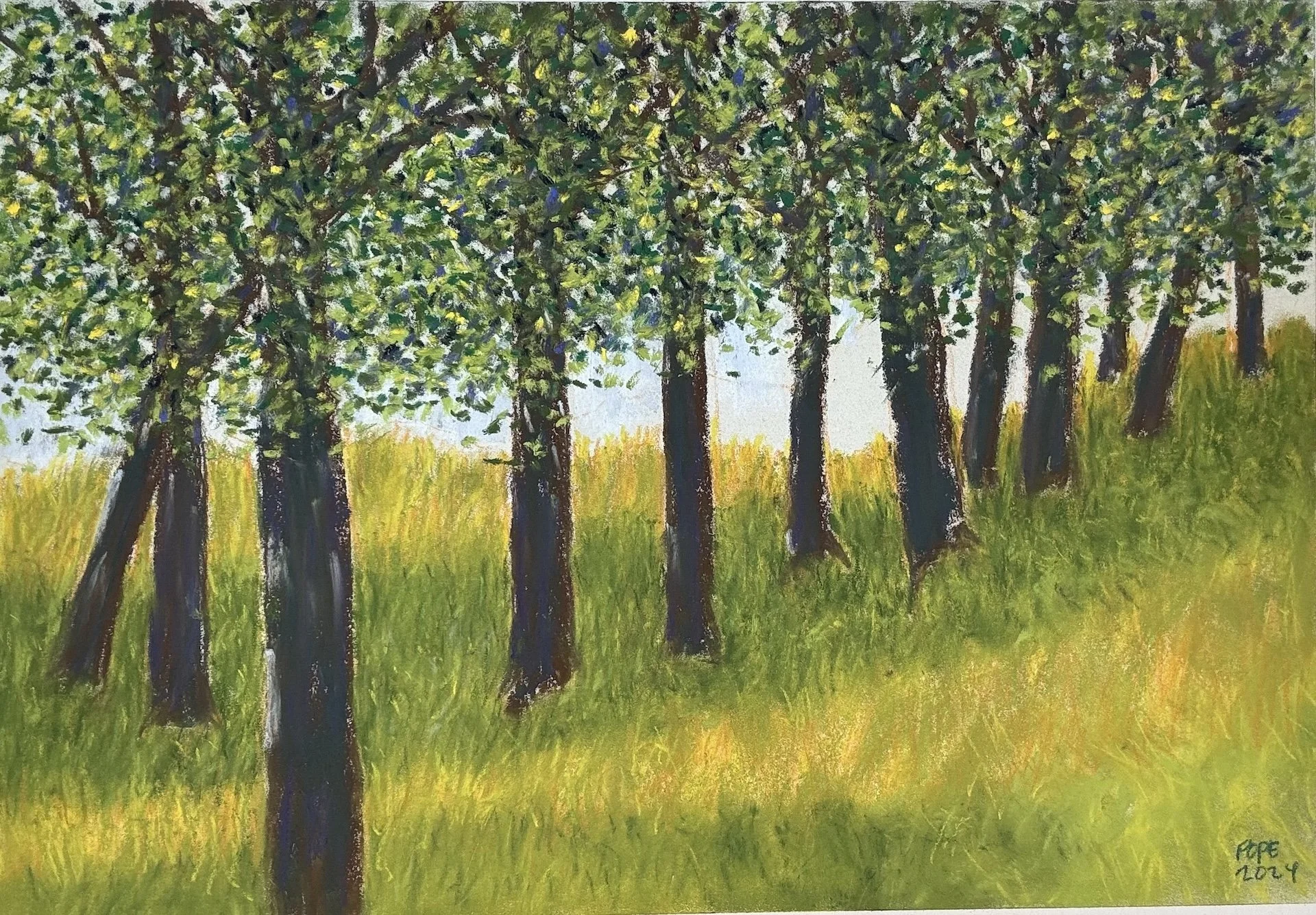Summer Trees III, Pastel Board, 18x24