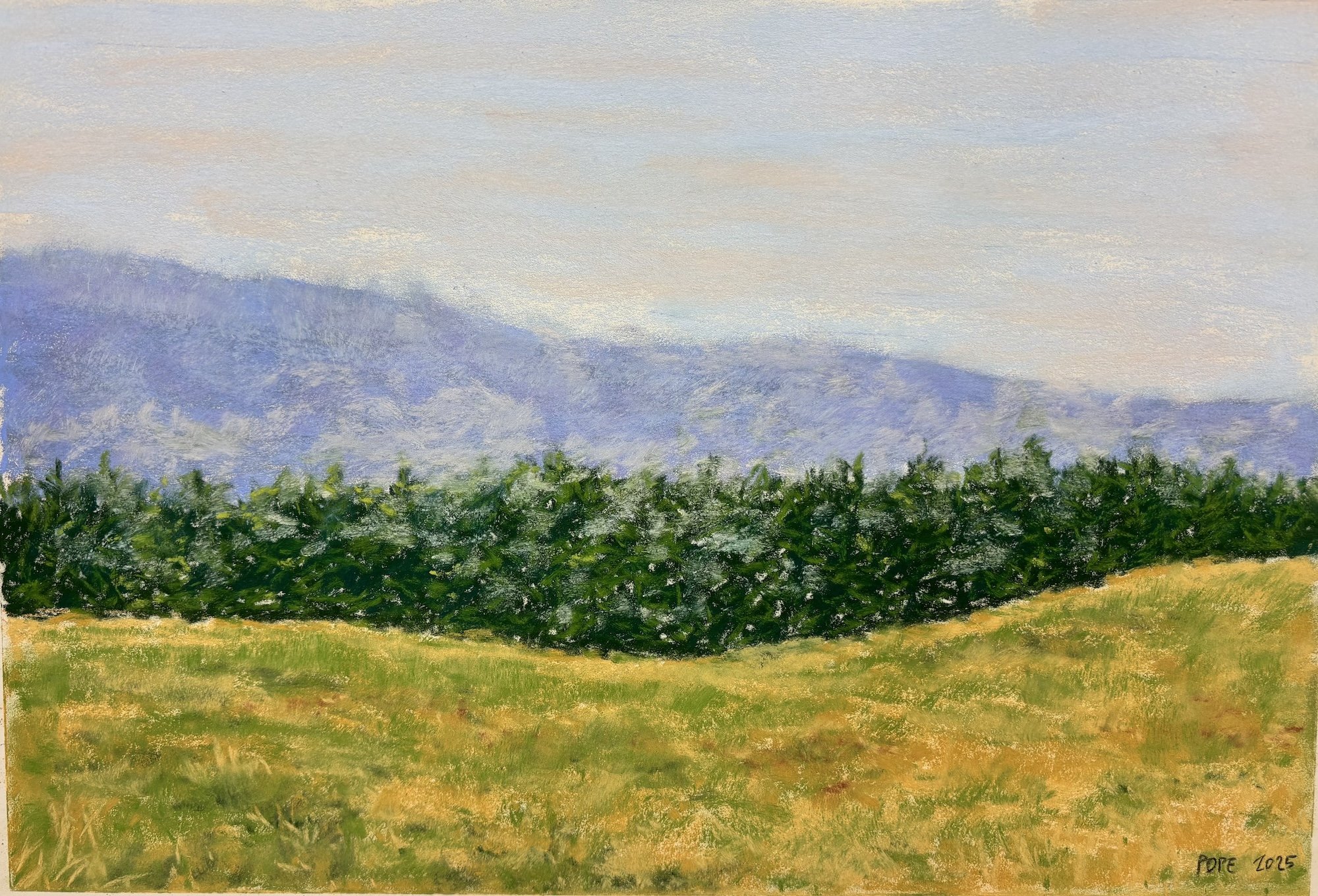 Hills Landscape I, Pastel Board