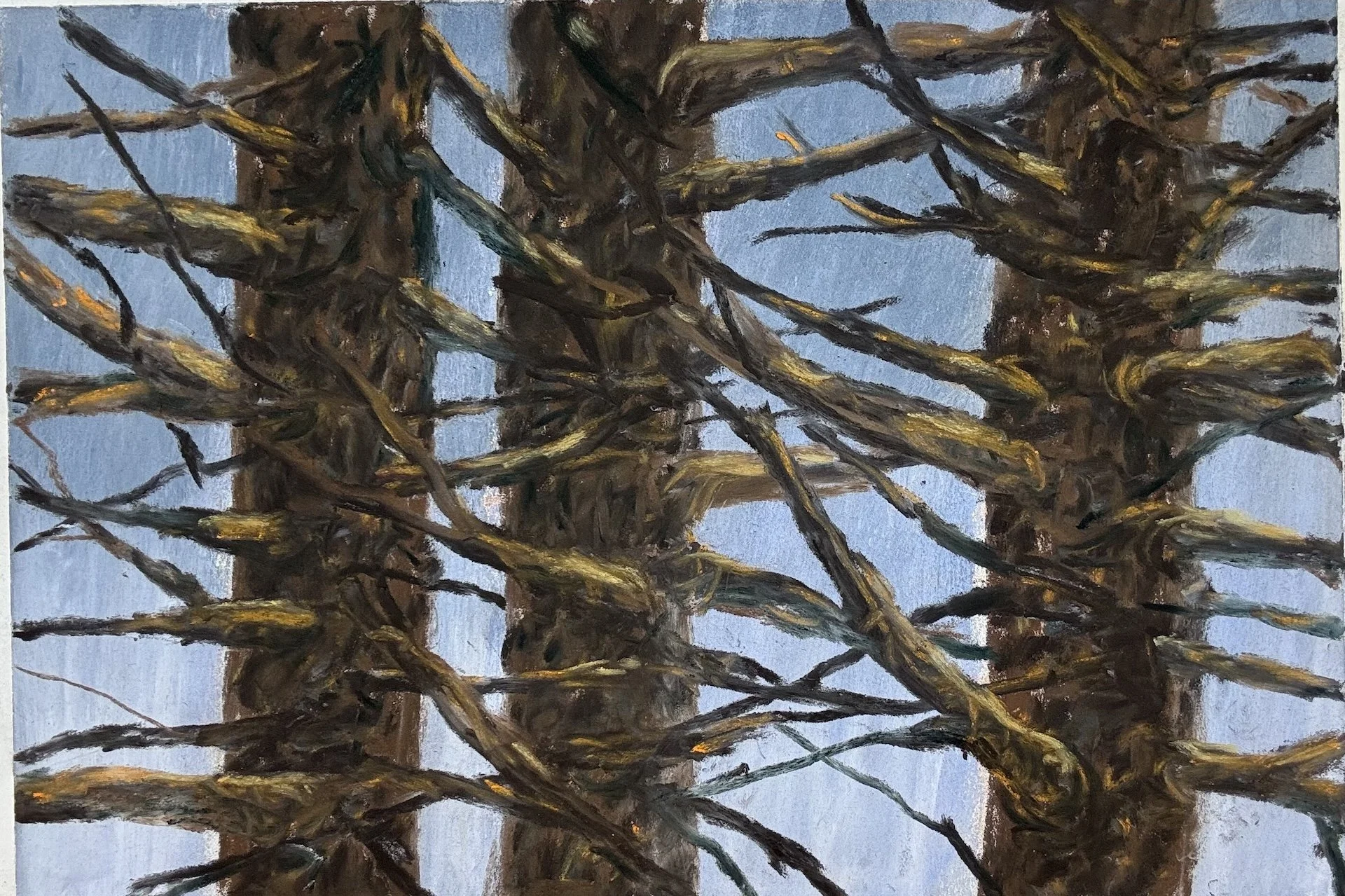 Winter Trees II, Pastel Board, 9x12