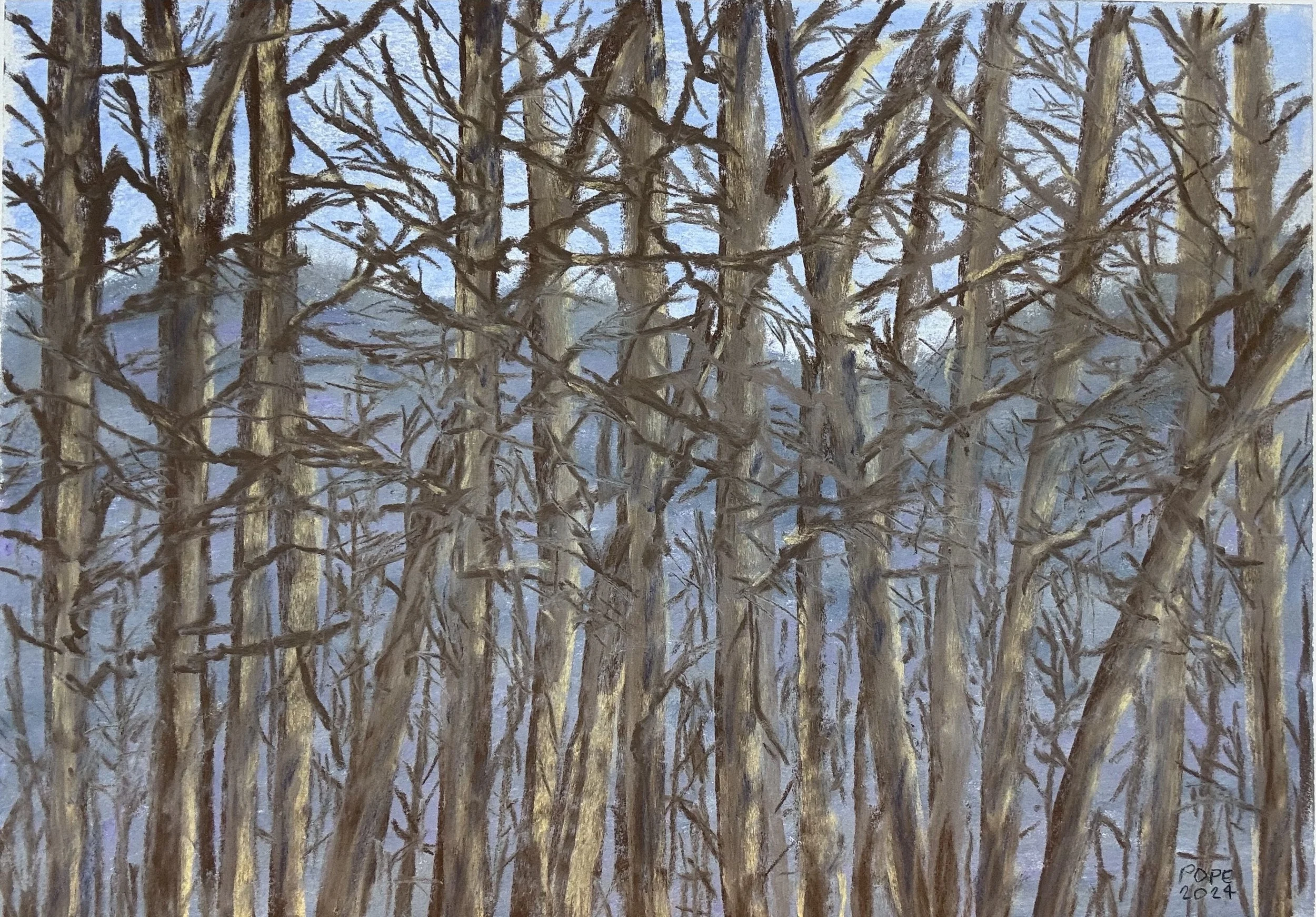 Winter Trees V, Pastel Board