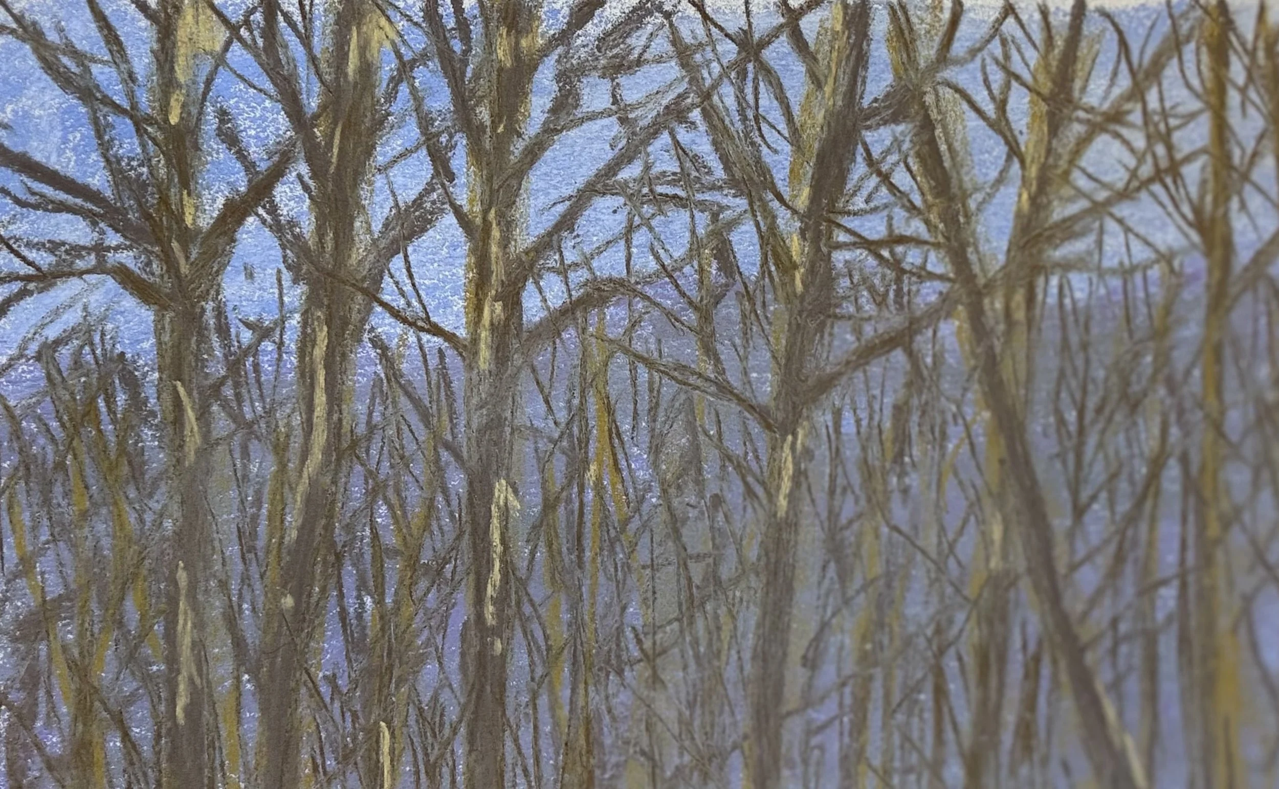 Winter Trees Triptych, Panel 2, Pastel Board, 12x9