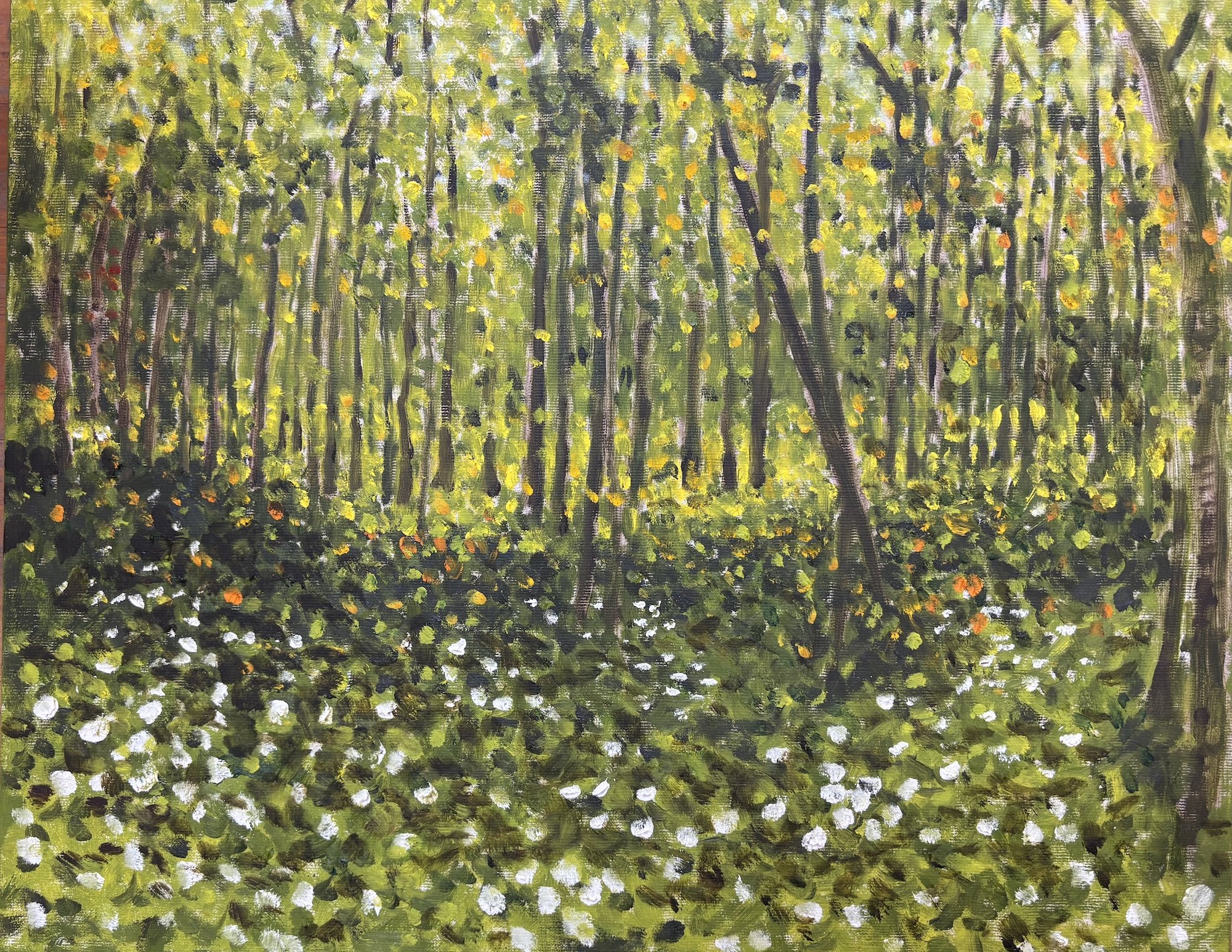 Summer Trees II, Oil on Canvas, 20x16