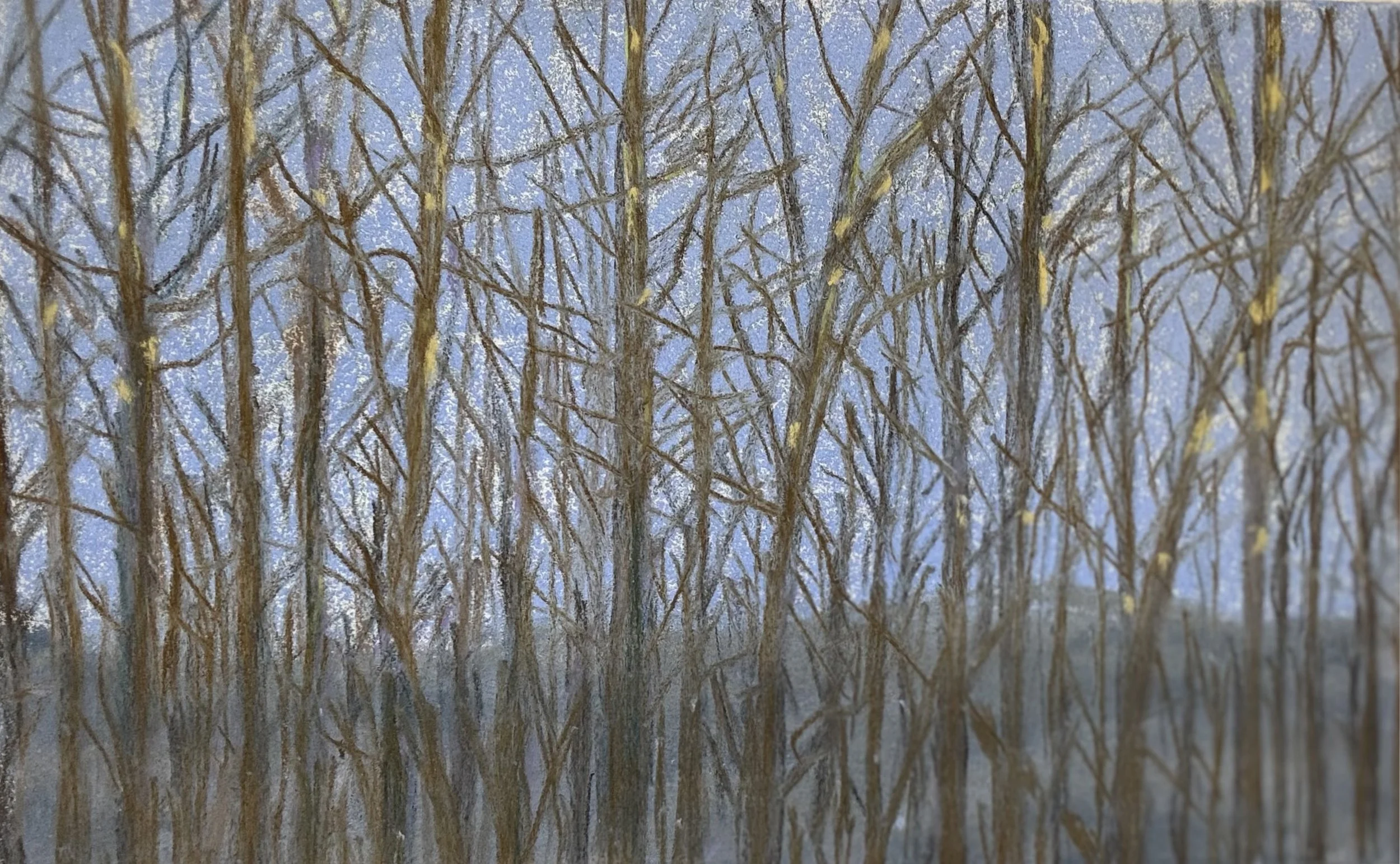 Winter Trees Triptych, Panel 1, Pastel Board, 12x9