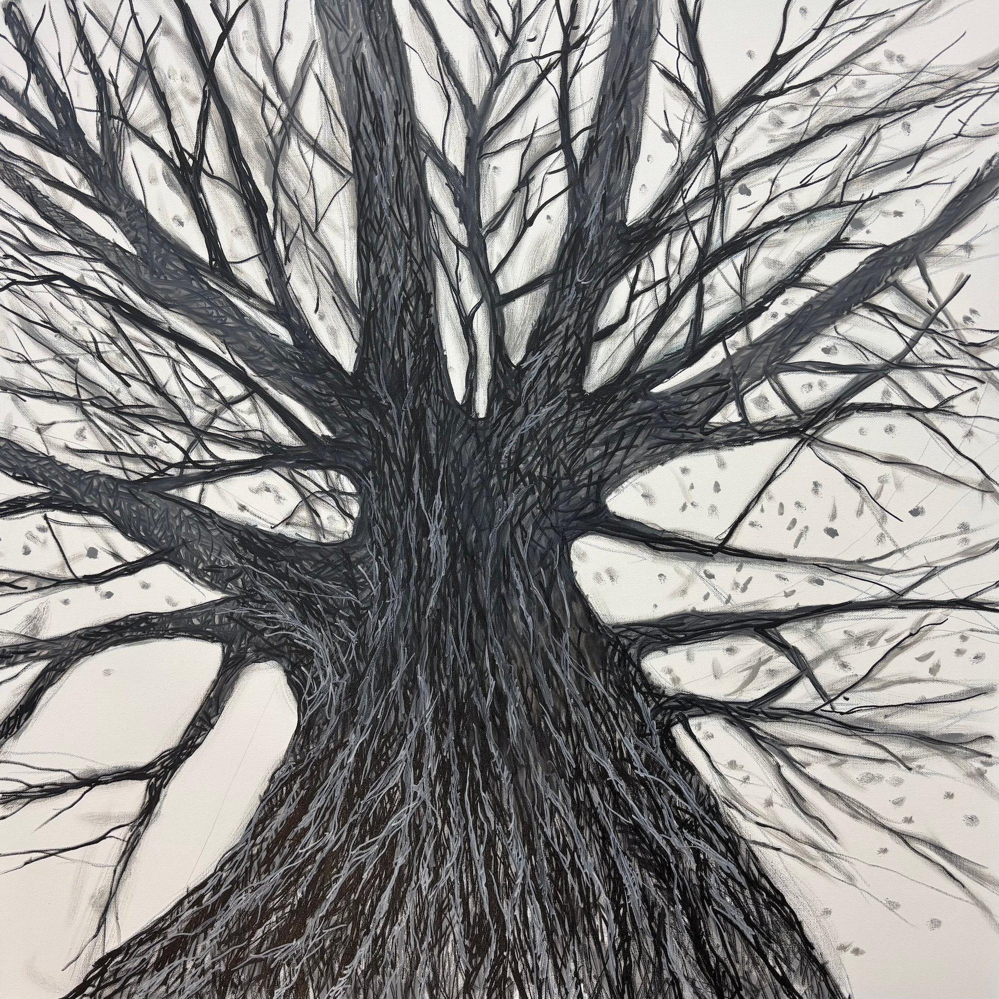 Winter Trees IV, Oil, 36x36