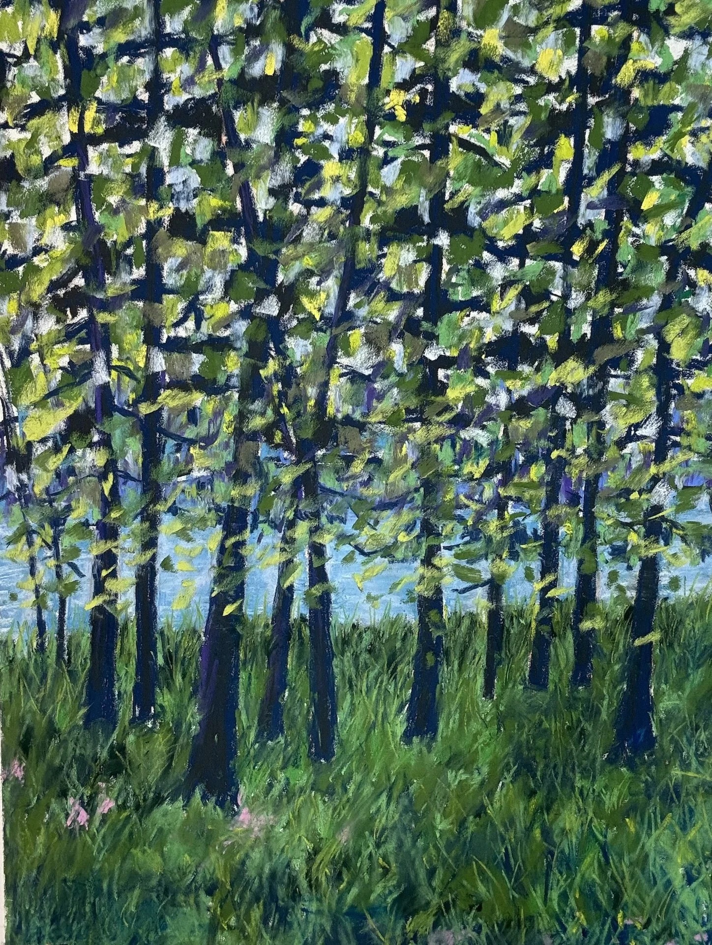 Spring Trees I, Pastel Board, 24x18
