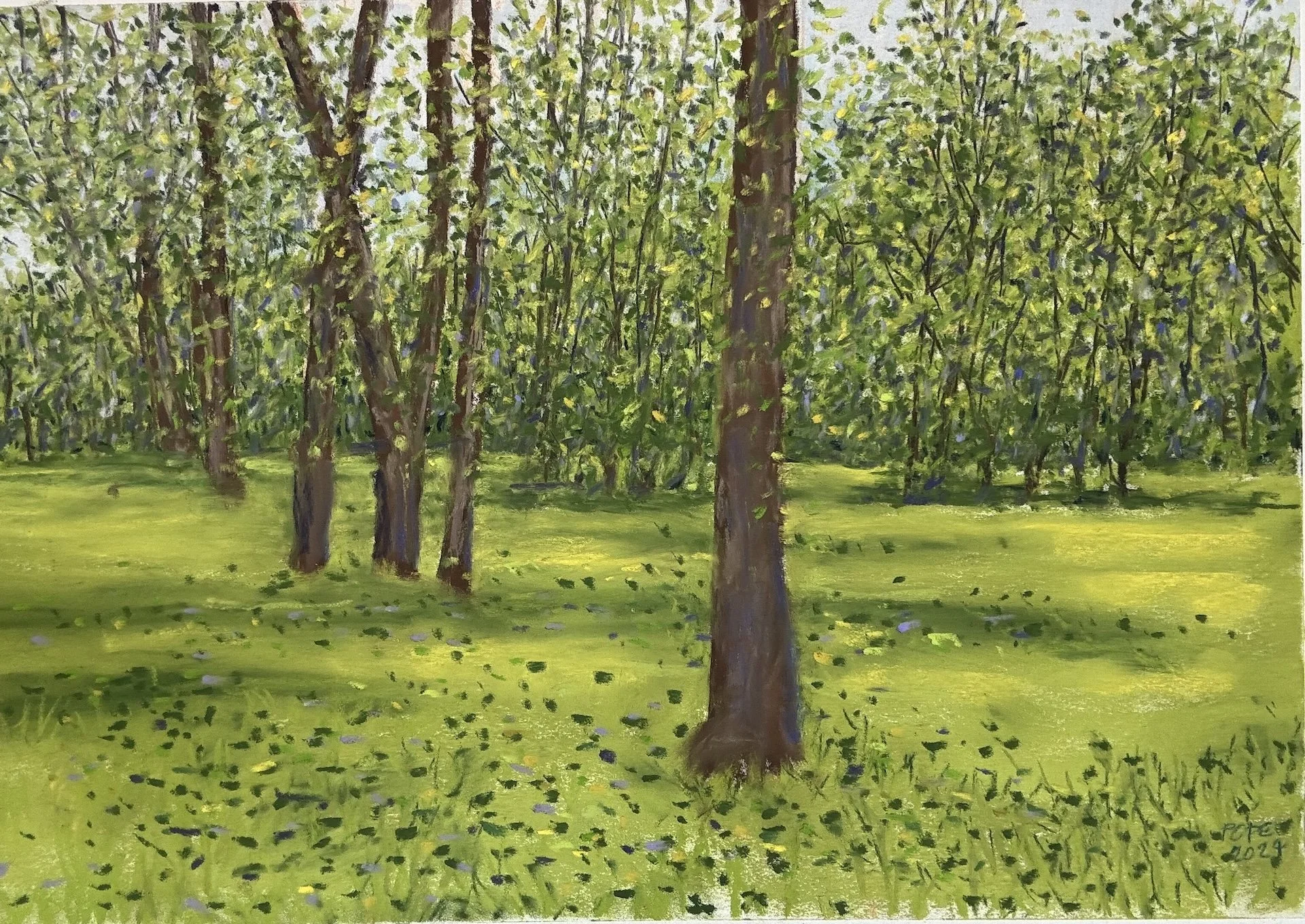 Summer Trees I, Pastel Board, 18x24