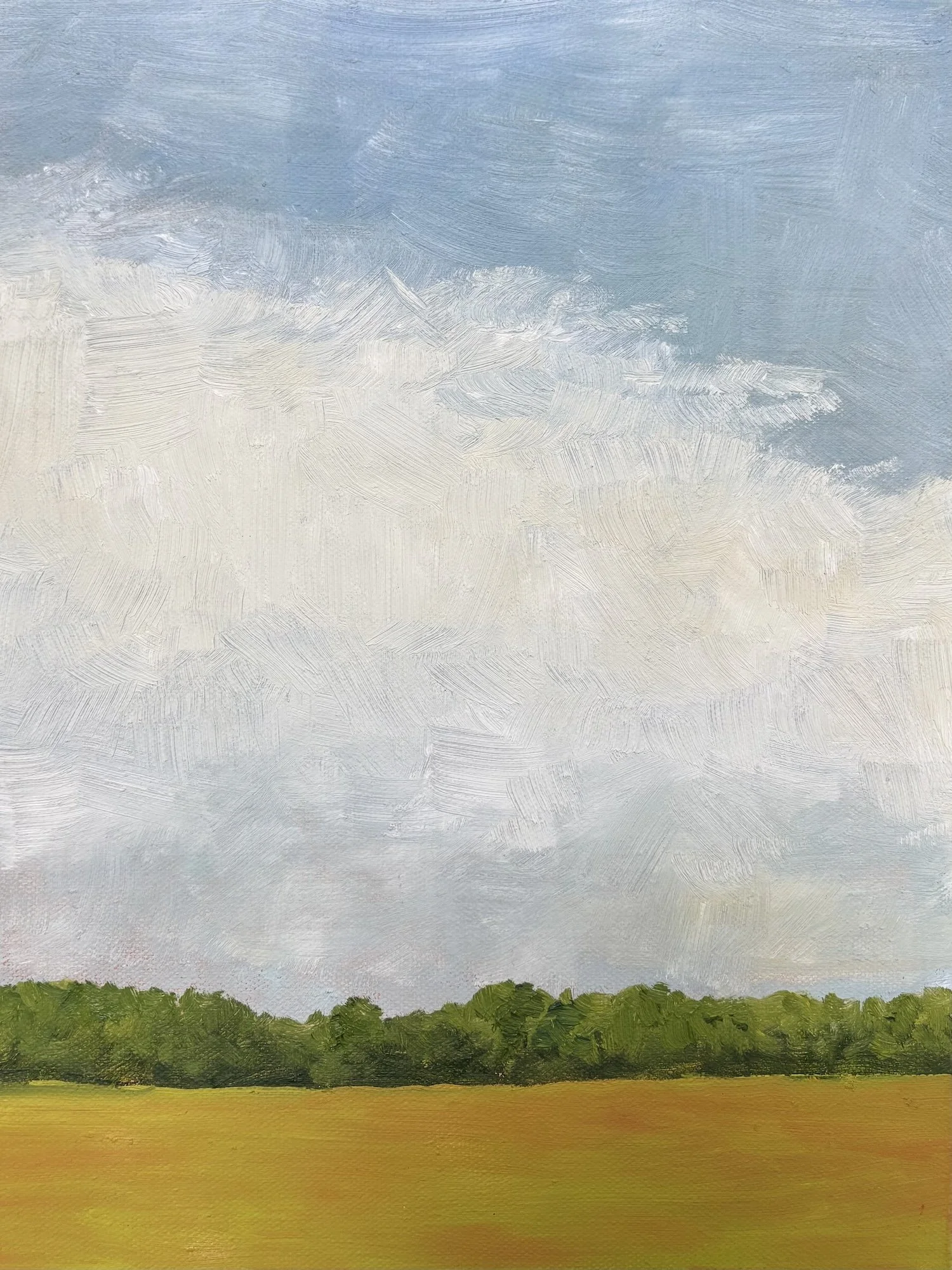 Field Landscape II, Oil on Canvas, 14x11