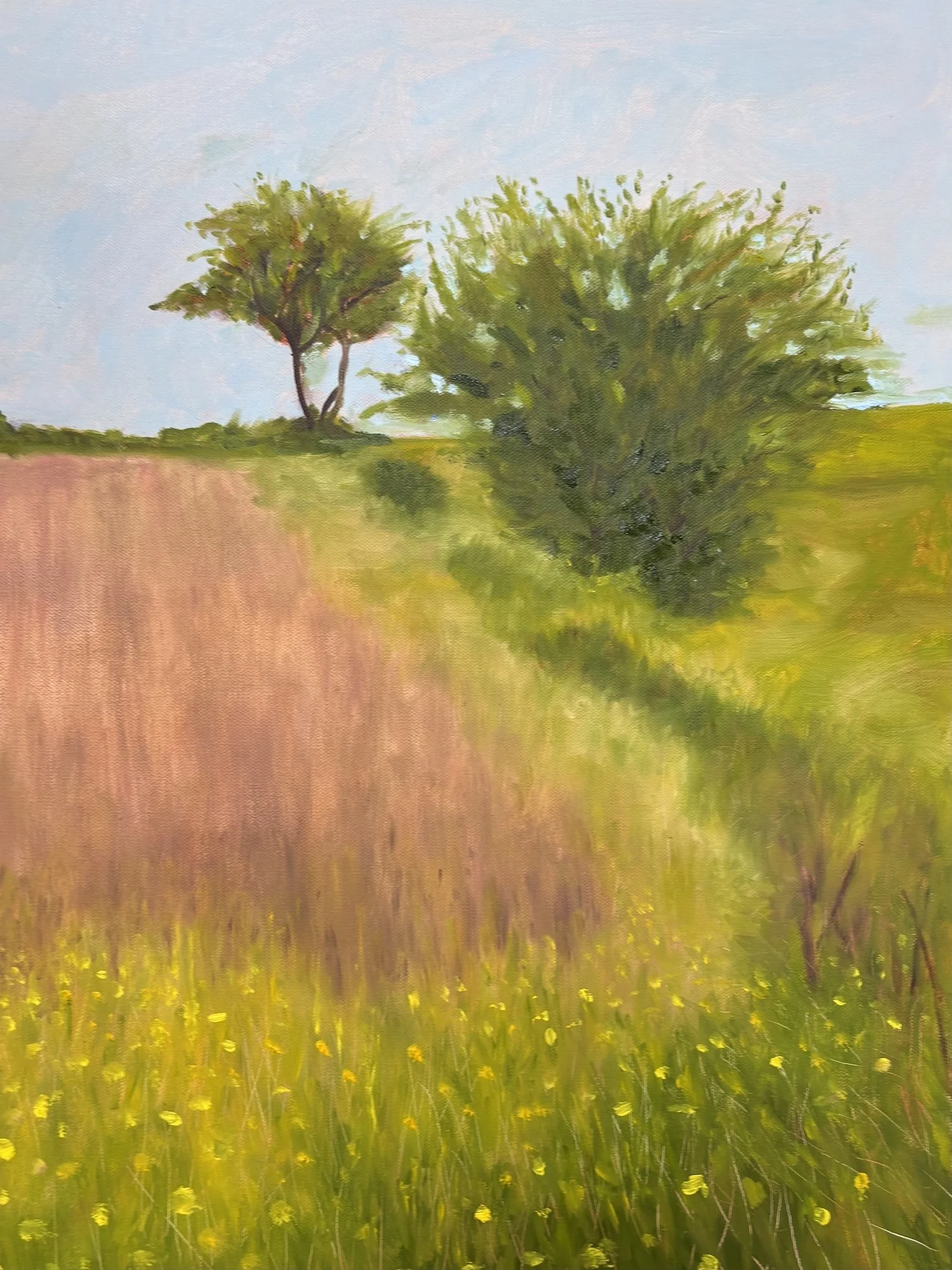 Field Landscape III, Oil on Canvas, 24x18