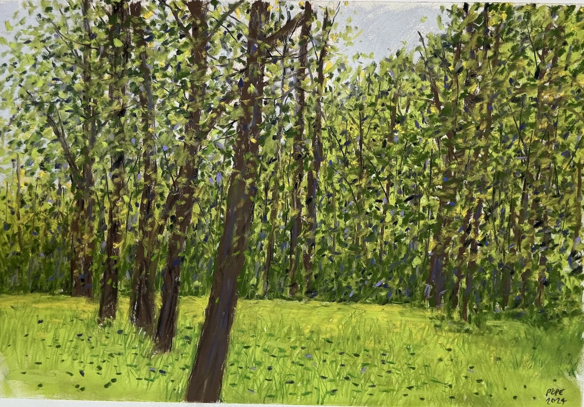 Summer Trees II, Pastel Board, 18x24