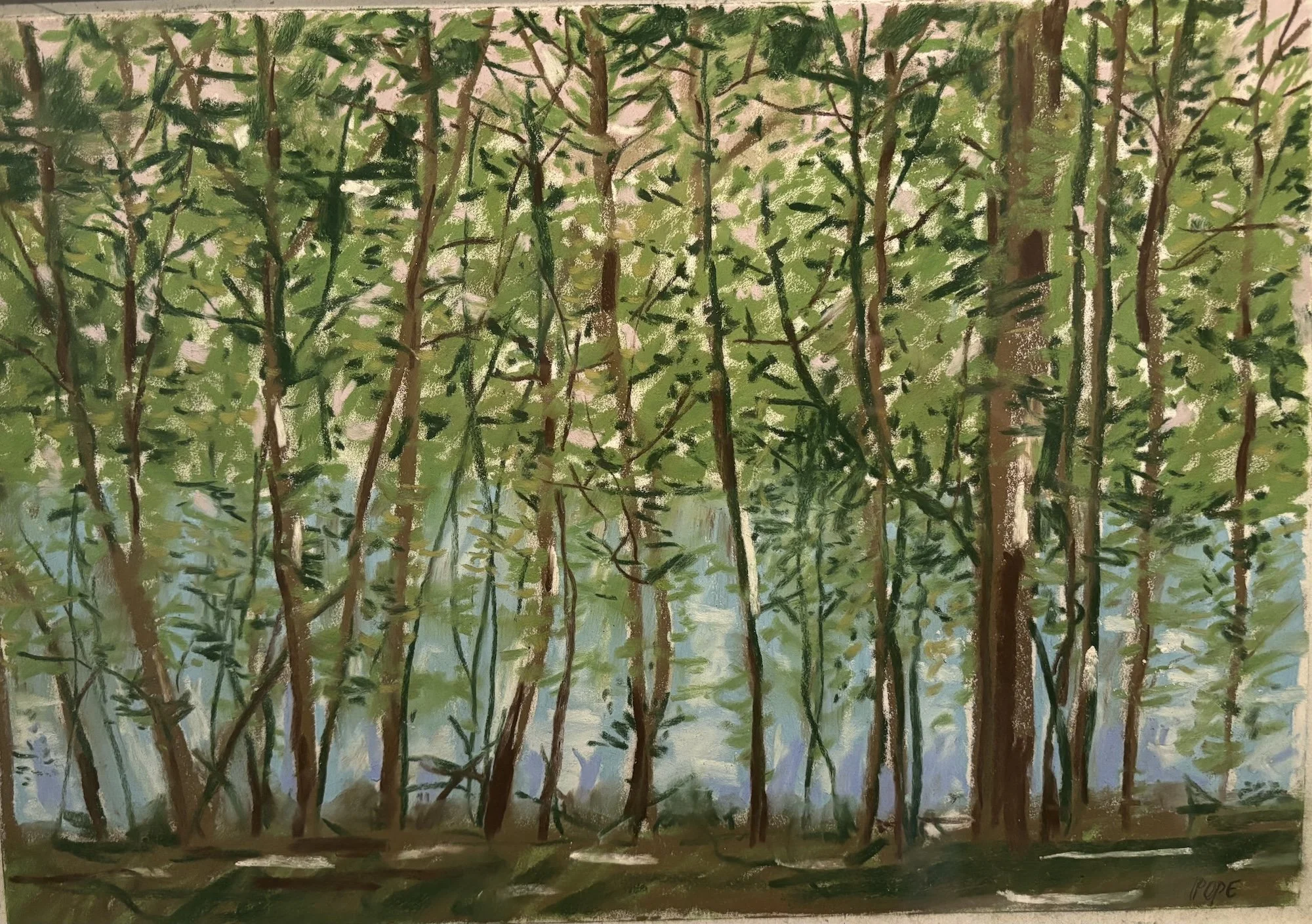 Summer Trees XI, Pastel Board, 18x24 (Sold)