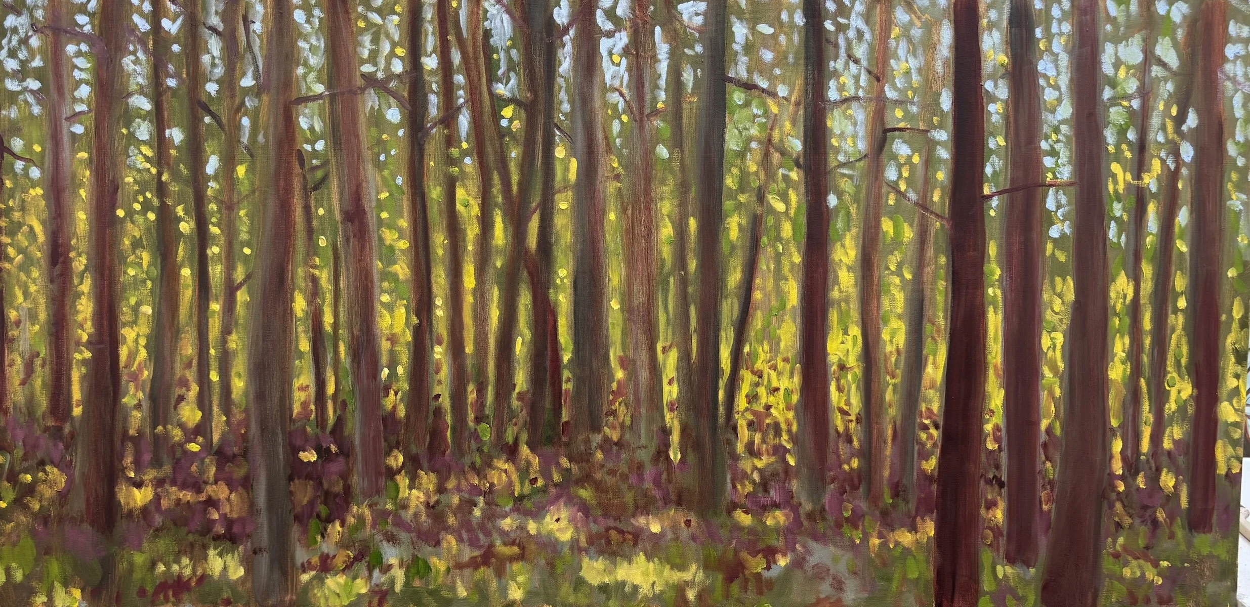 Fall Trees I, Oil on Canvas, 24x48