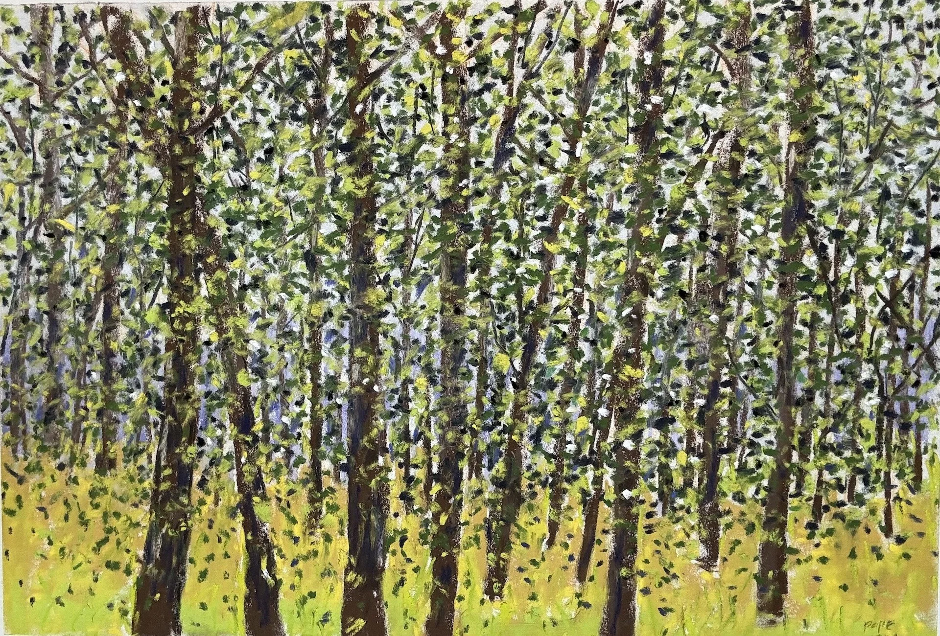 Summer Trees IV, Pastel Board, 24x28