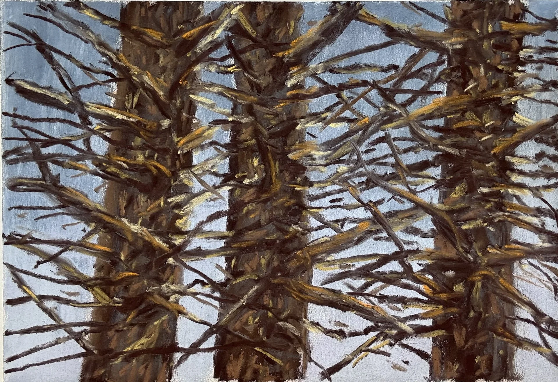 Winter Trees I, Pastel Board, 9x12