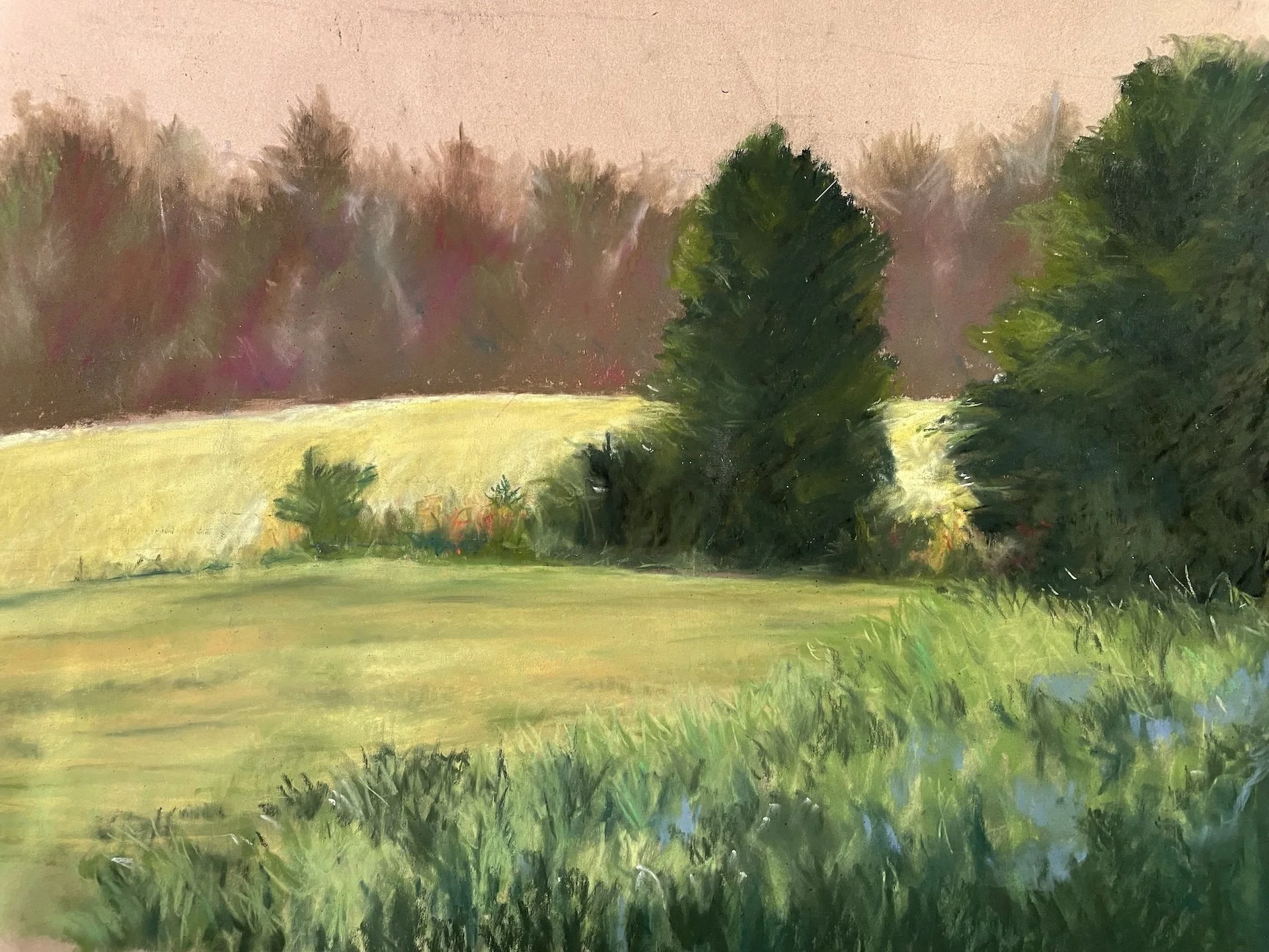Hills Landcape II, Pastel Board